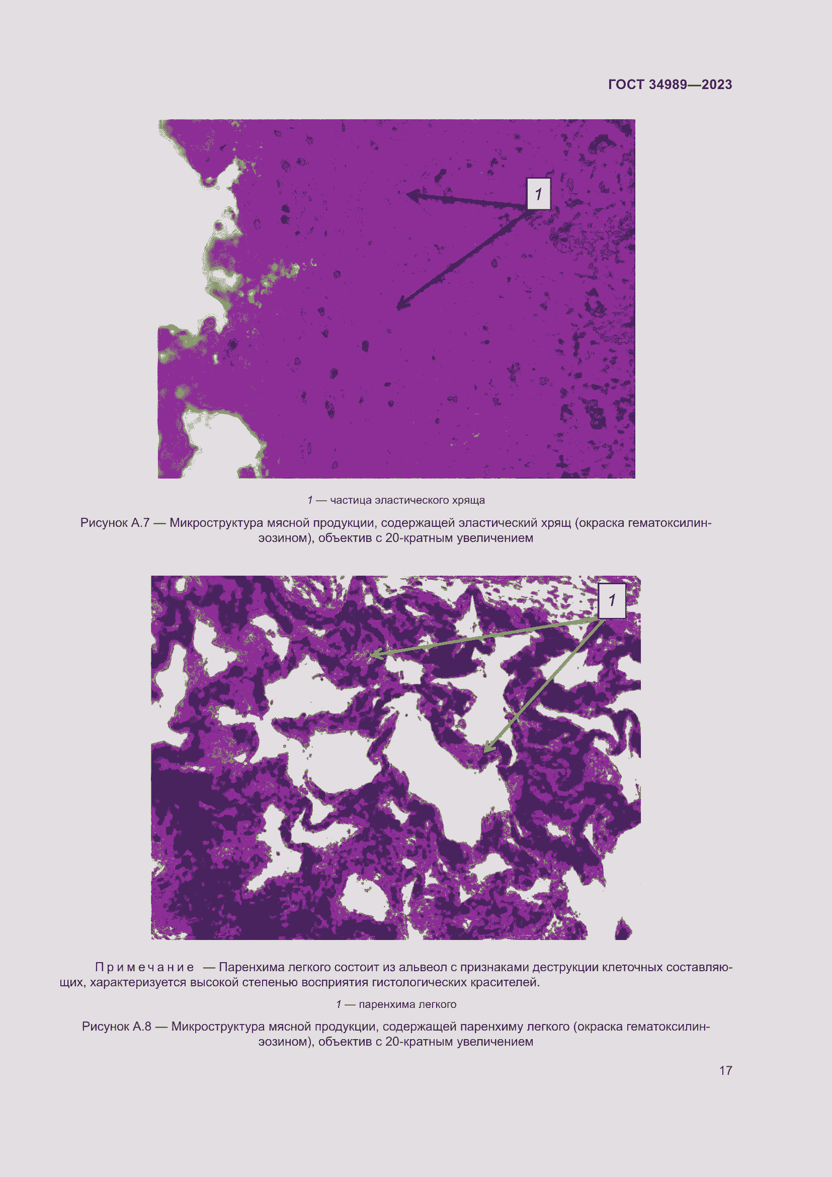 Страница 22 ГОСТ 34989-2023
