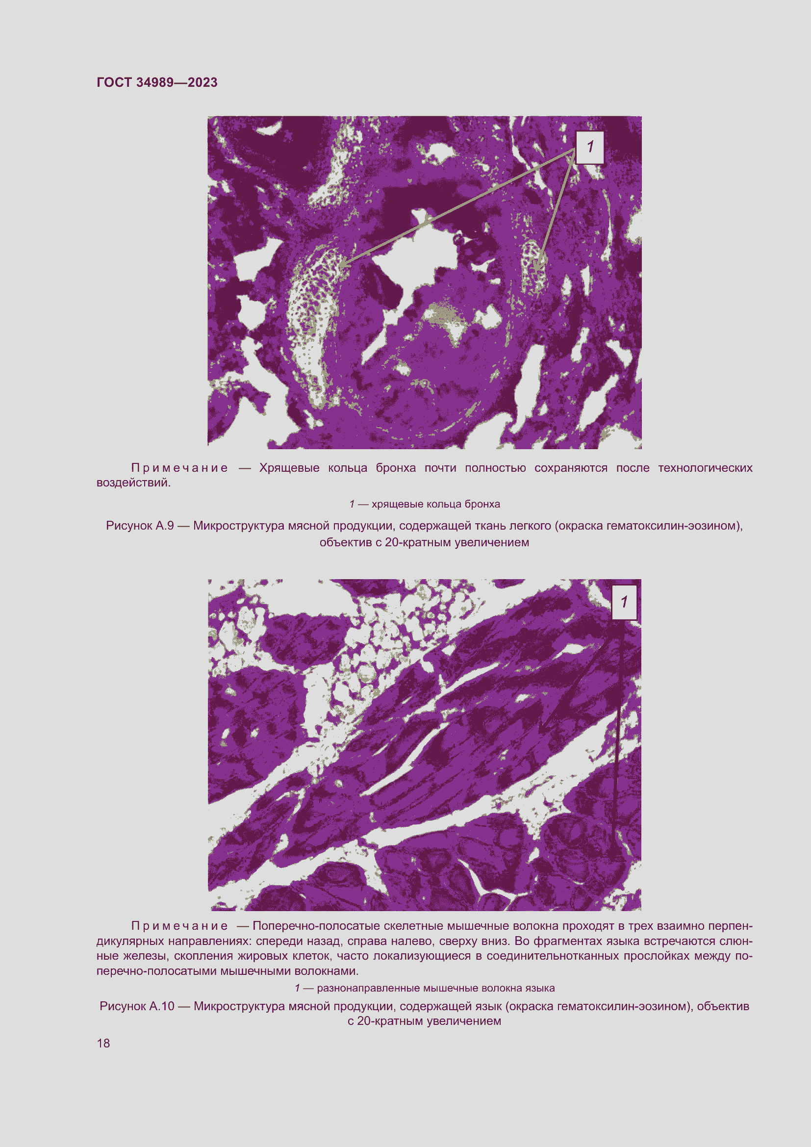 Страница 23 ГОСТ 34989-2023