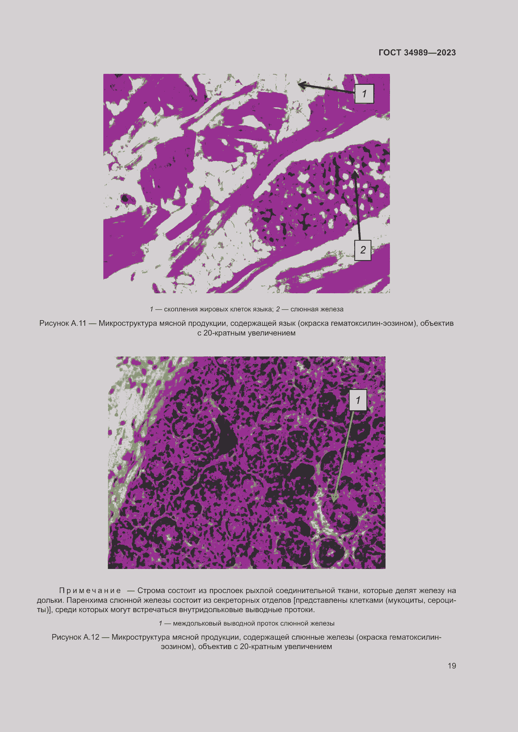 Страница 24 ГОСТ 34989-2023