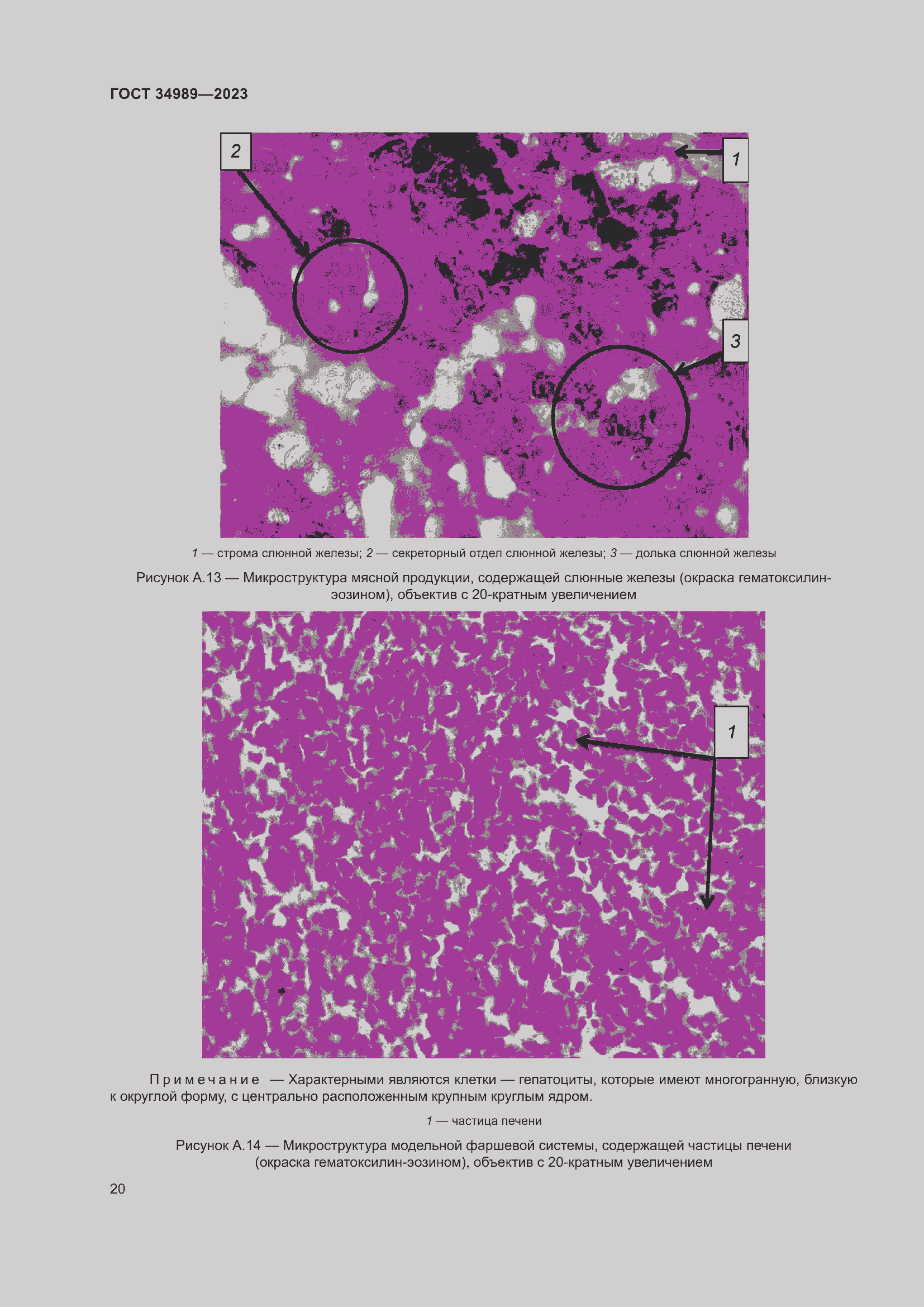 Страница 25 ГОСТ 34989-2023