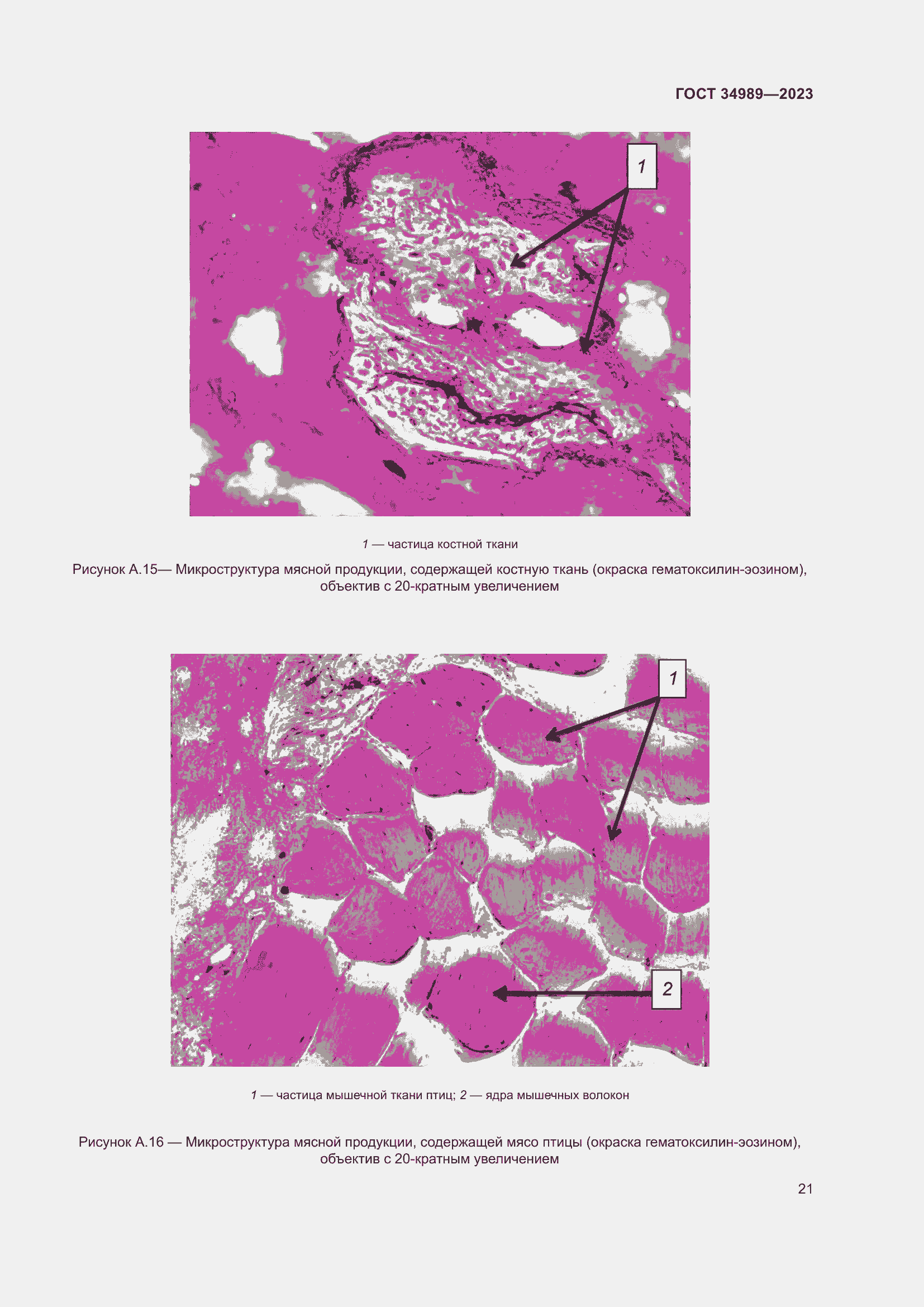 Страница 26 ГОСТ 34989-2023