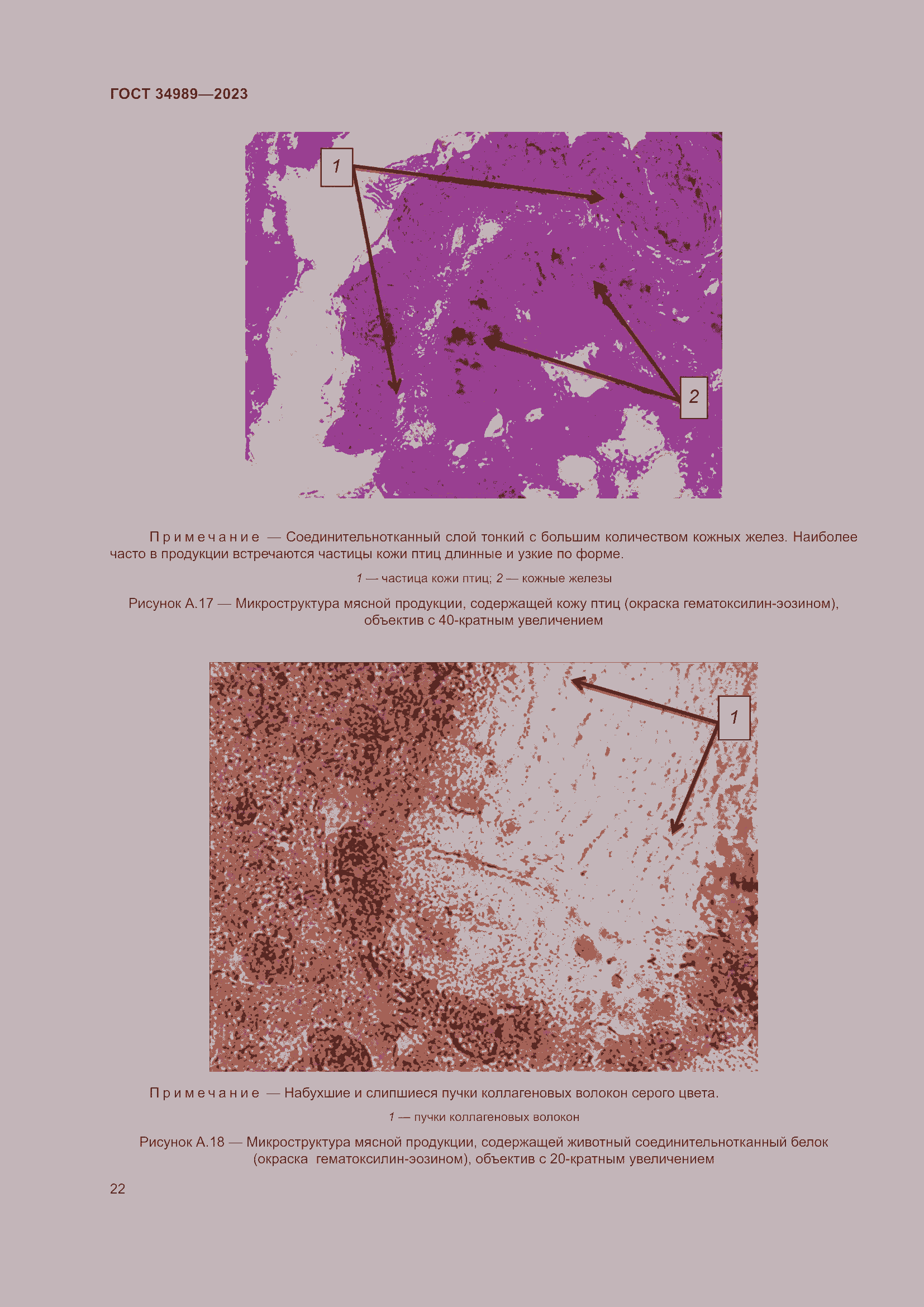 Страница 27 ГОСТ 34989-2023