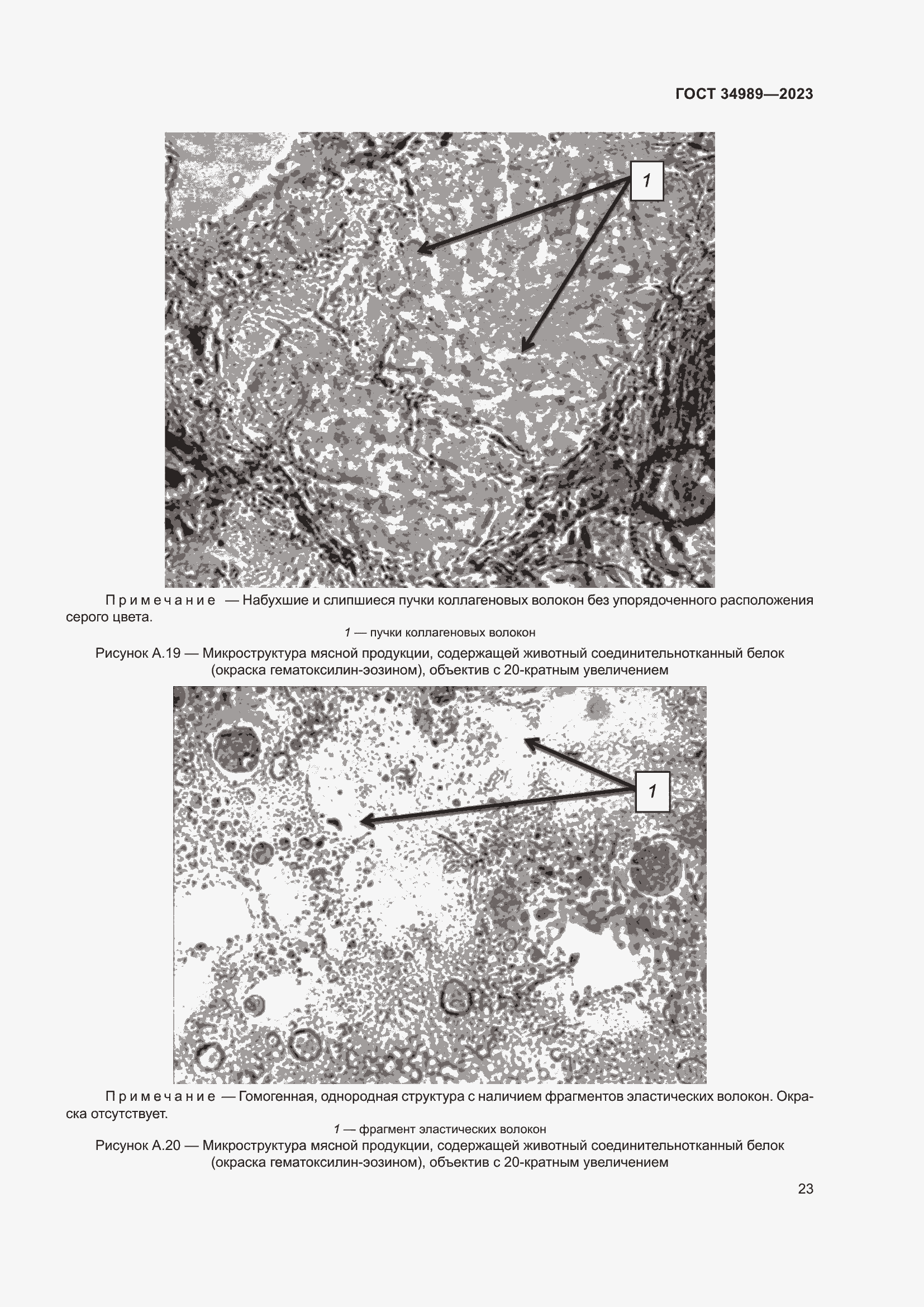 Страница 28 ГОСТ 34989-2023