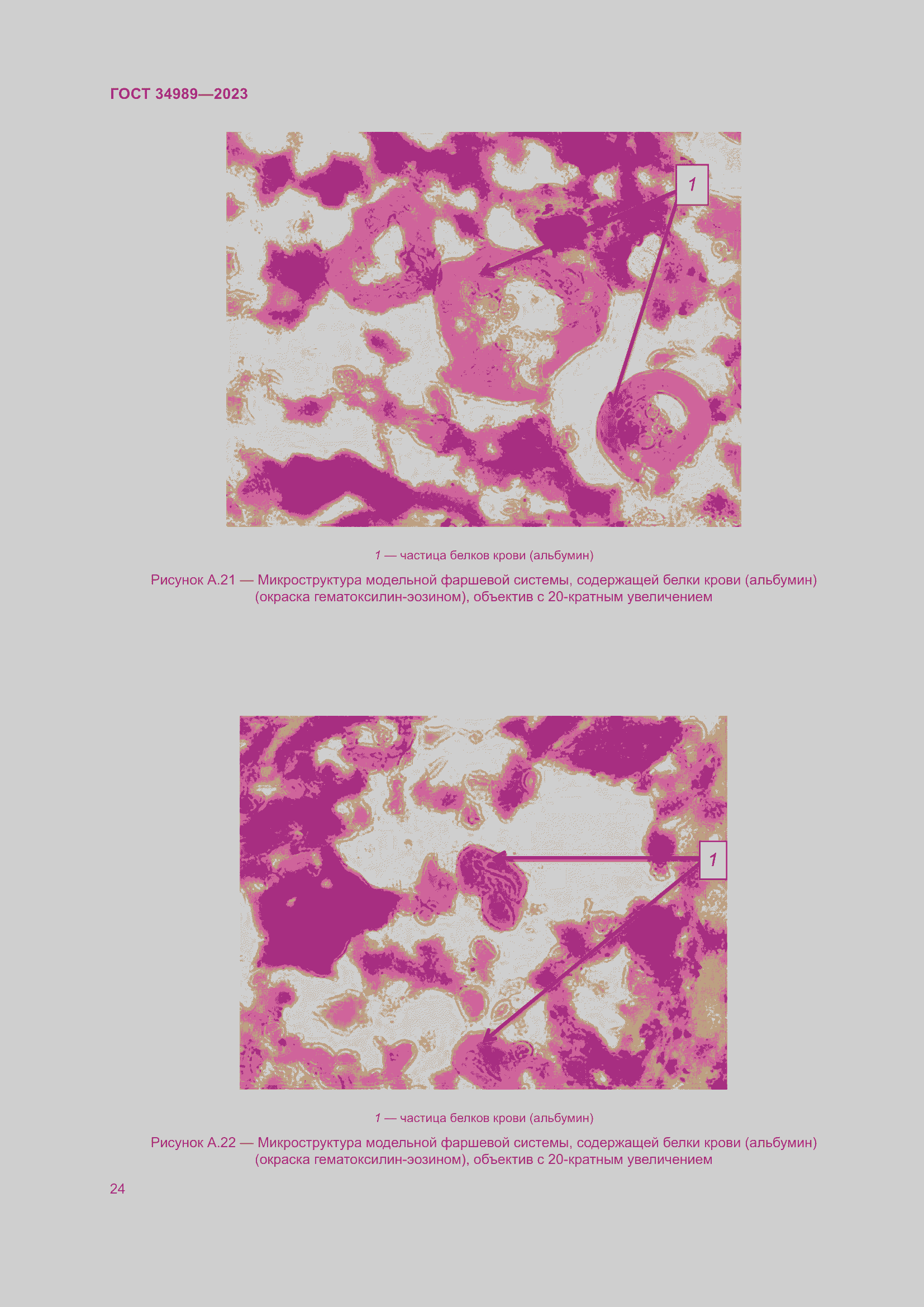 Страница 29 ГОСТ 34989-2023