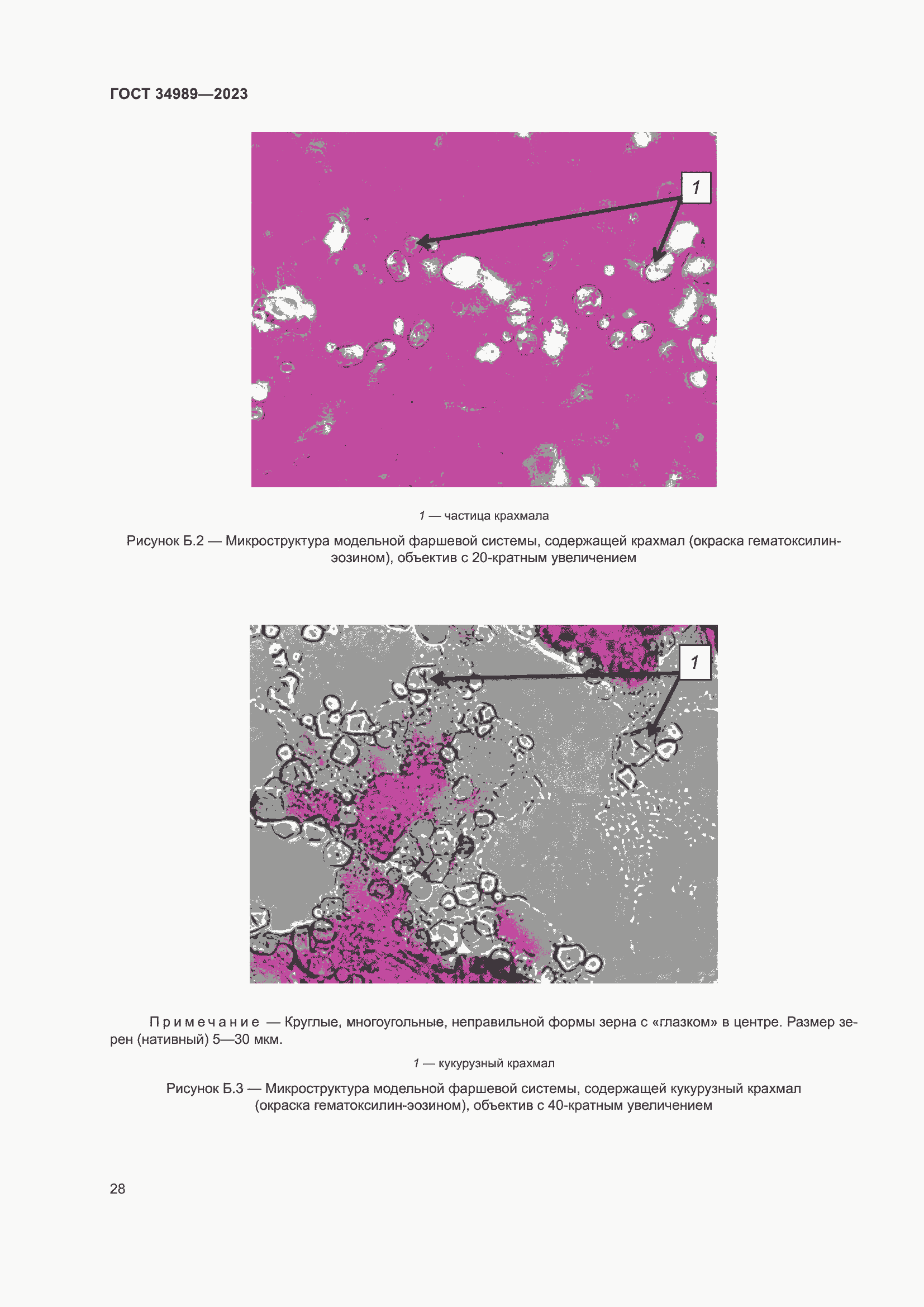 Страница 33 ГОСТ 34989-2023