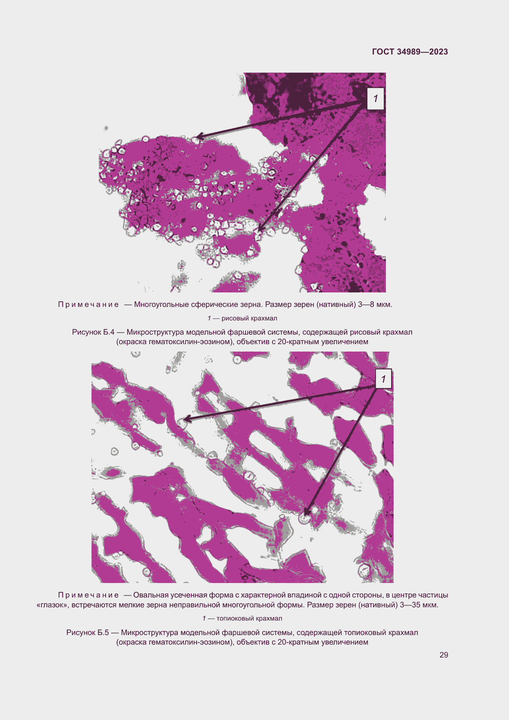 Страница 34 ГОСТ 34989-2023