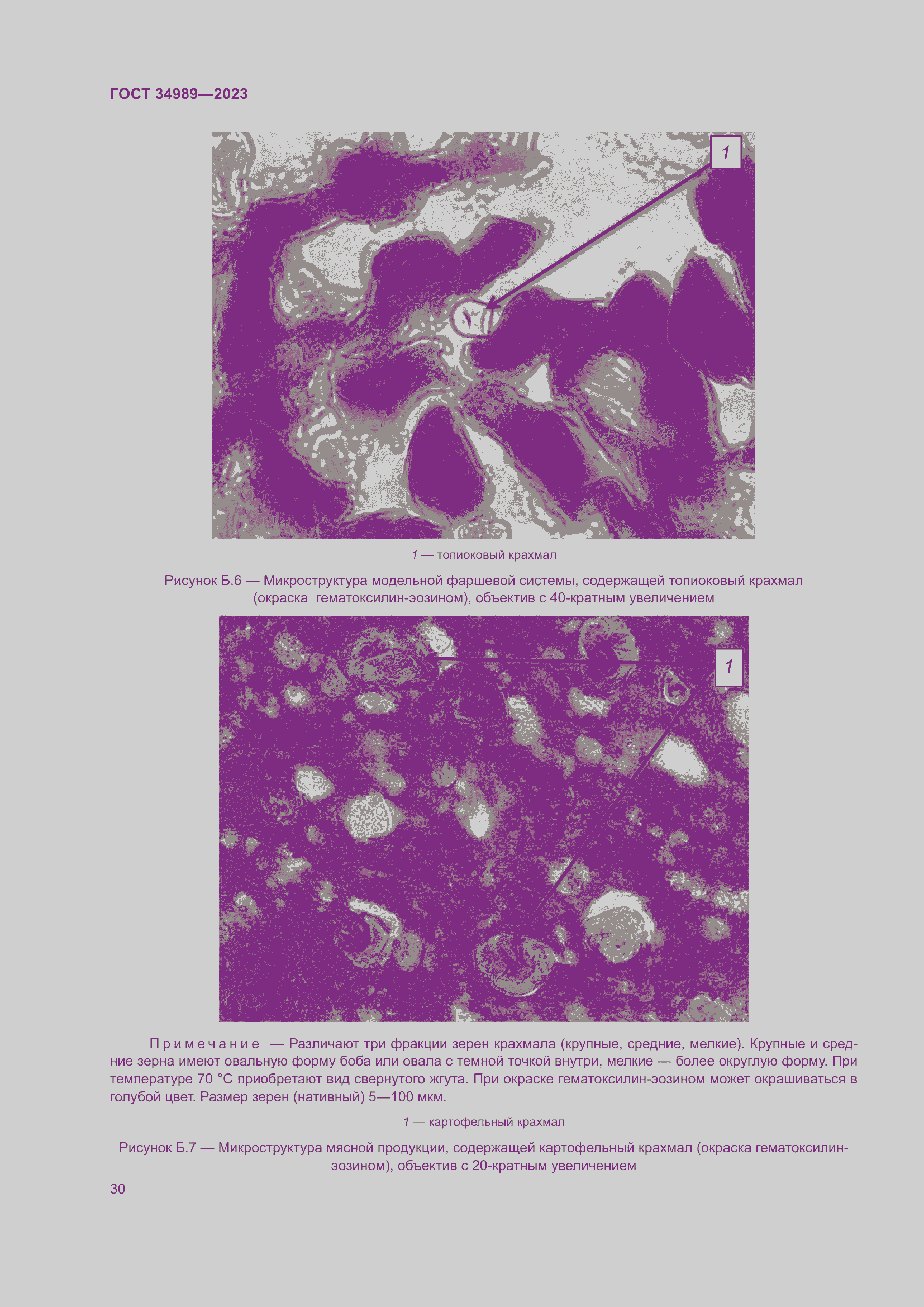 Страница 35 ГОСТ 34989-2023