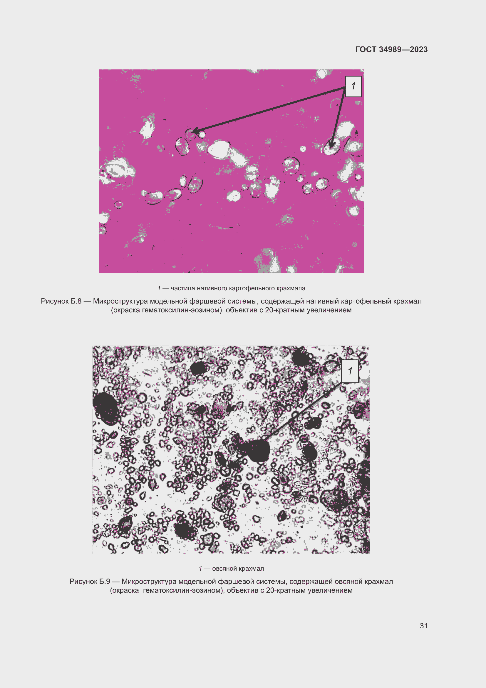 Страница 36 ГОСТ 34989-2023