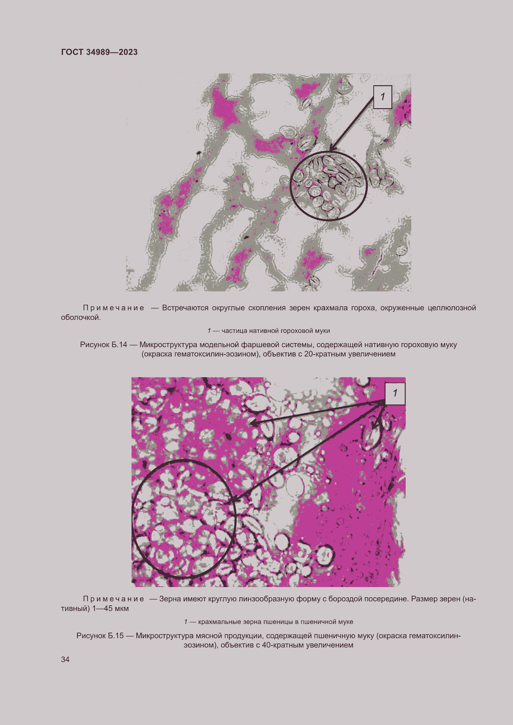 Страница 39 ГОСТ 34989-2023