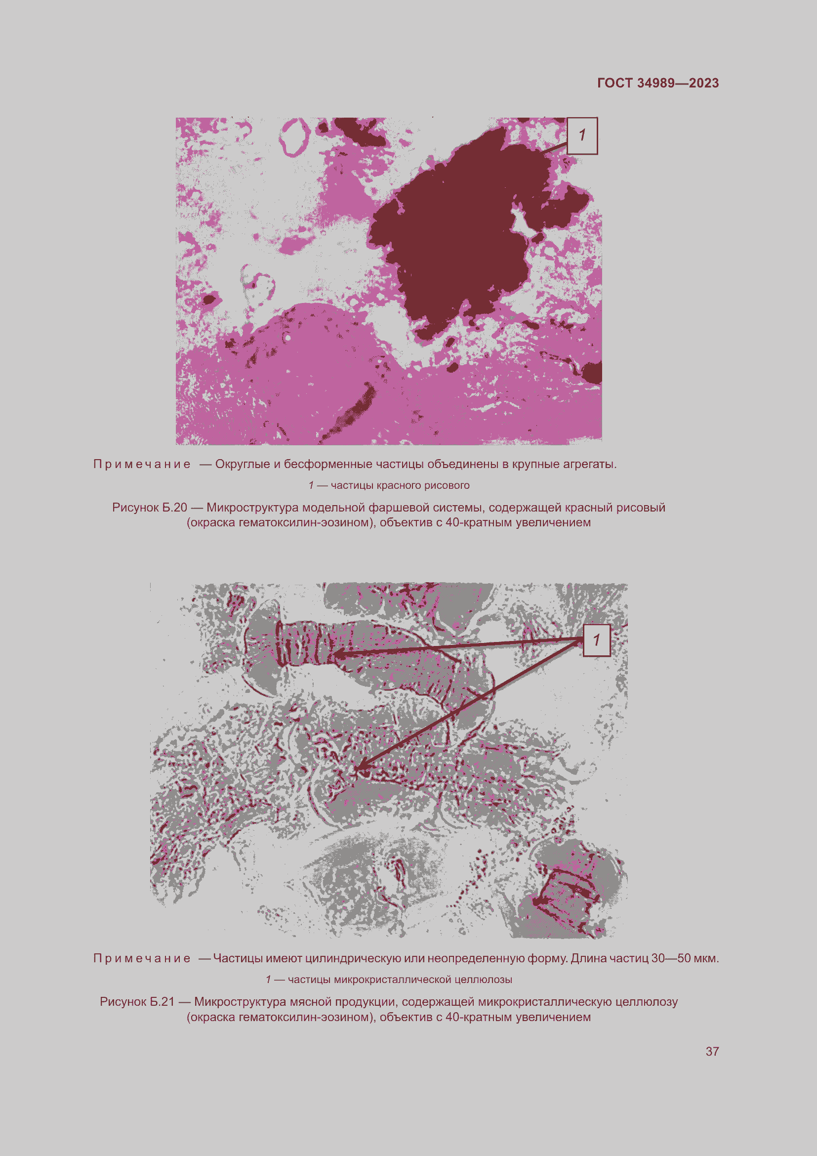 Страница 42 ГОСТ 34989-2023