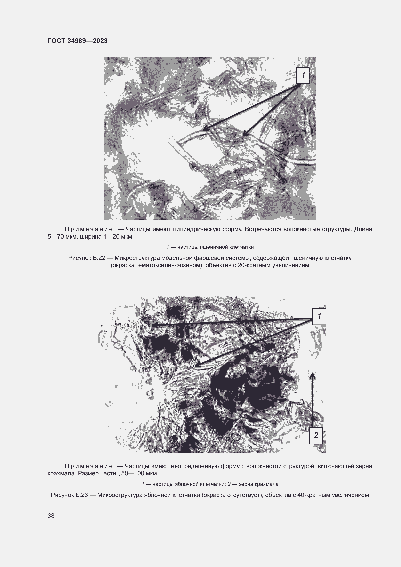 Страница 43 ГОСТ 34989-2023