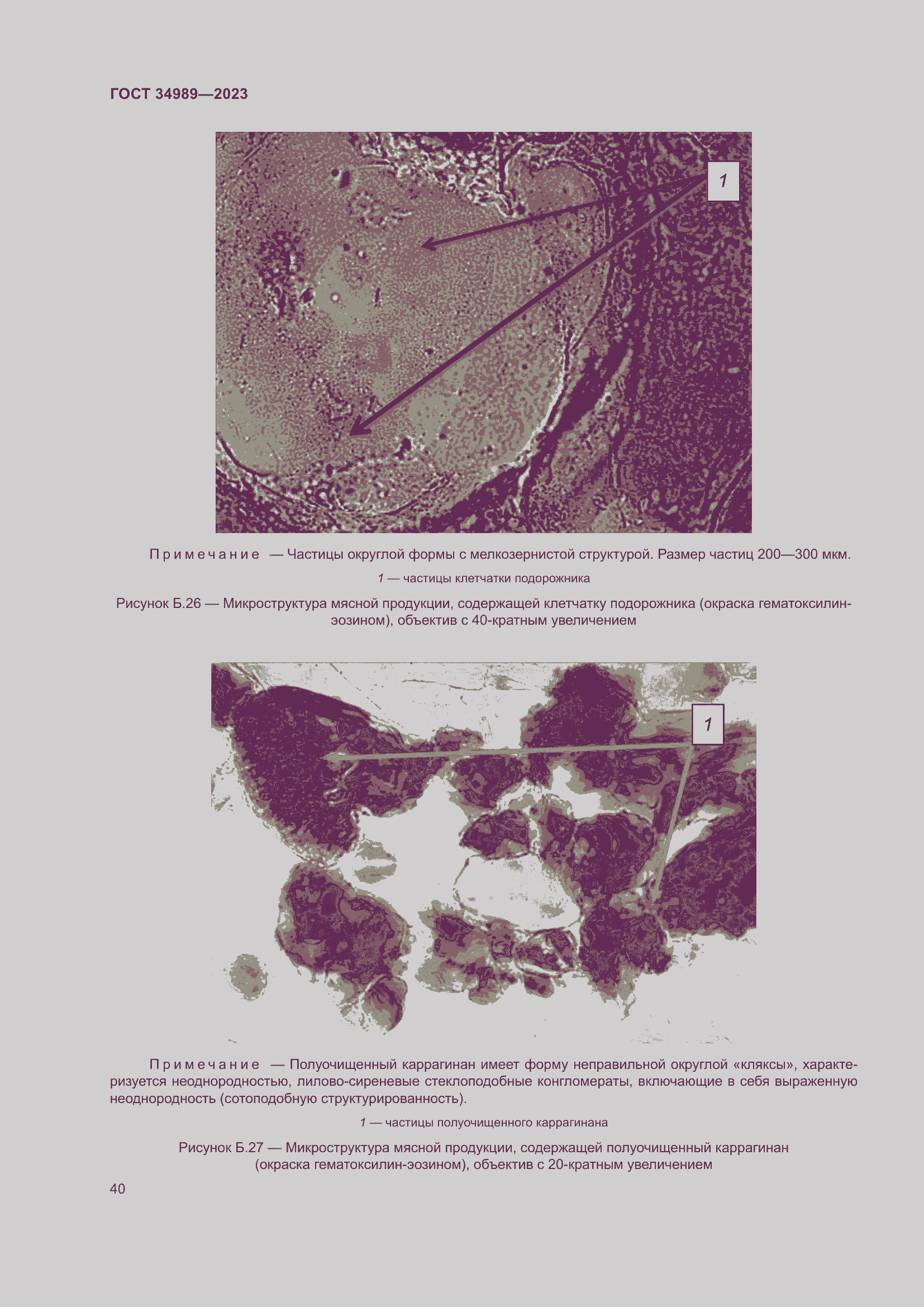 Страница 45 ГОСТ 34989-2023