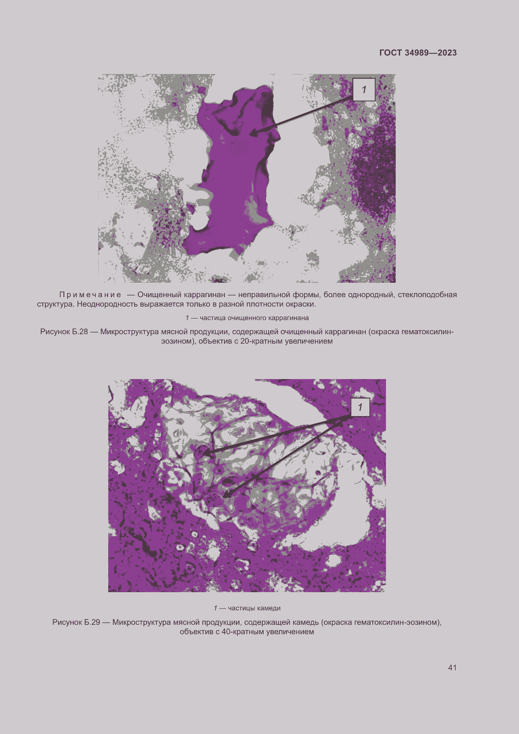 Страница 46 ГОСТ 34989-2023
