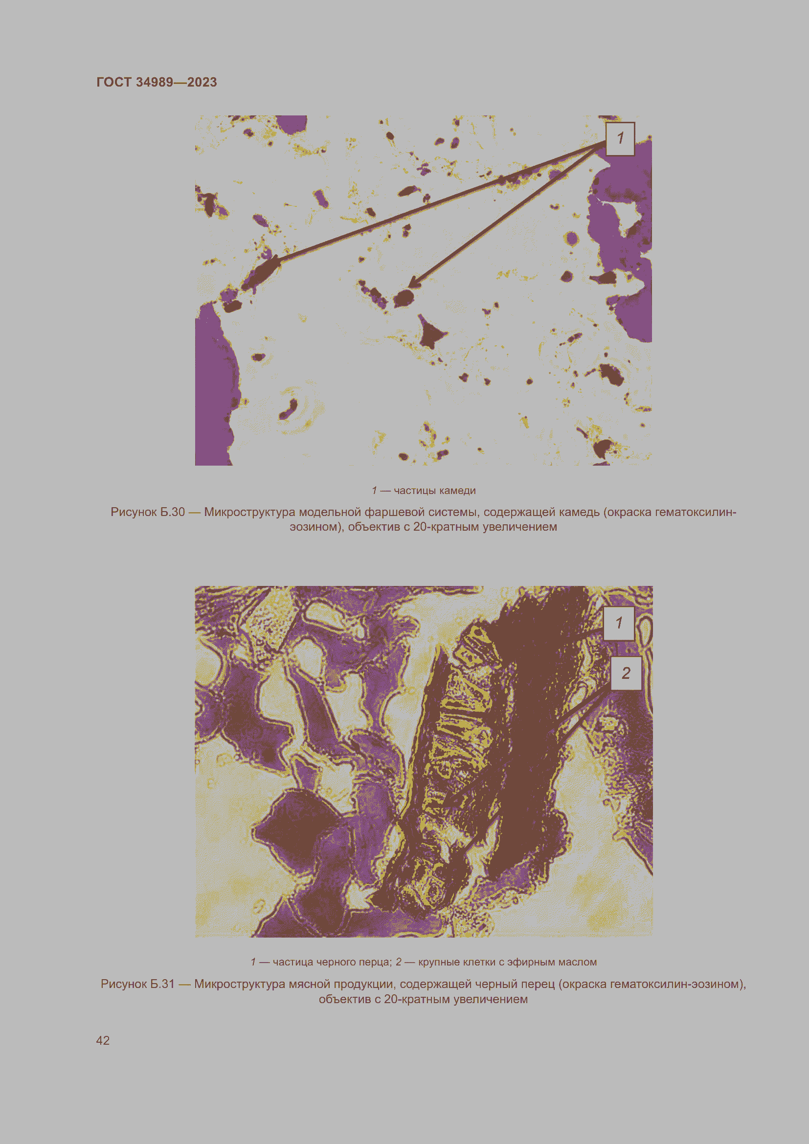 Страница 47 ГОСТ 34989-2023