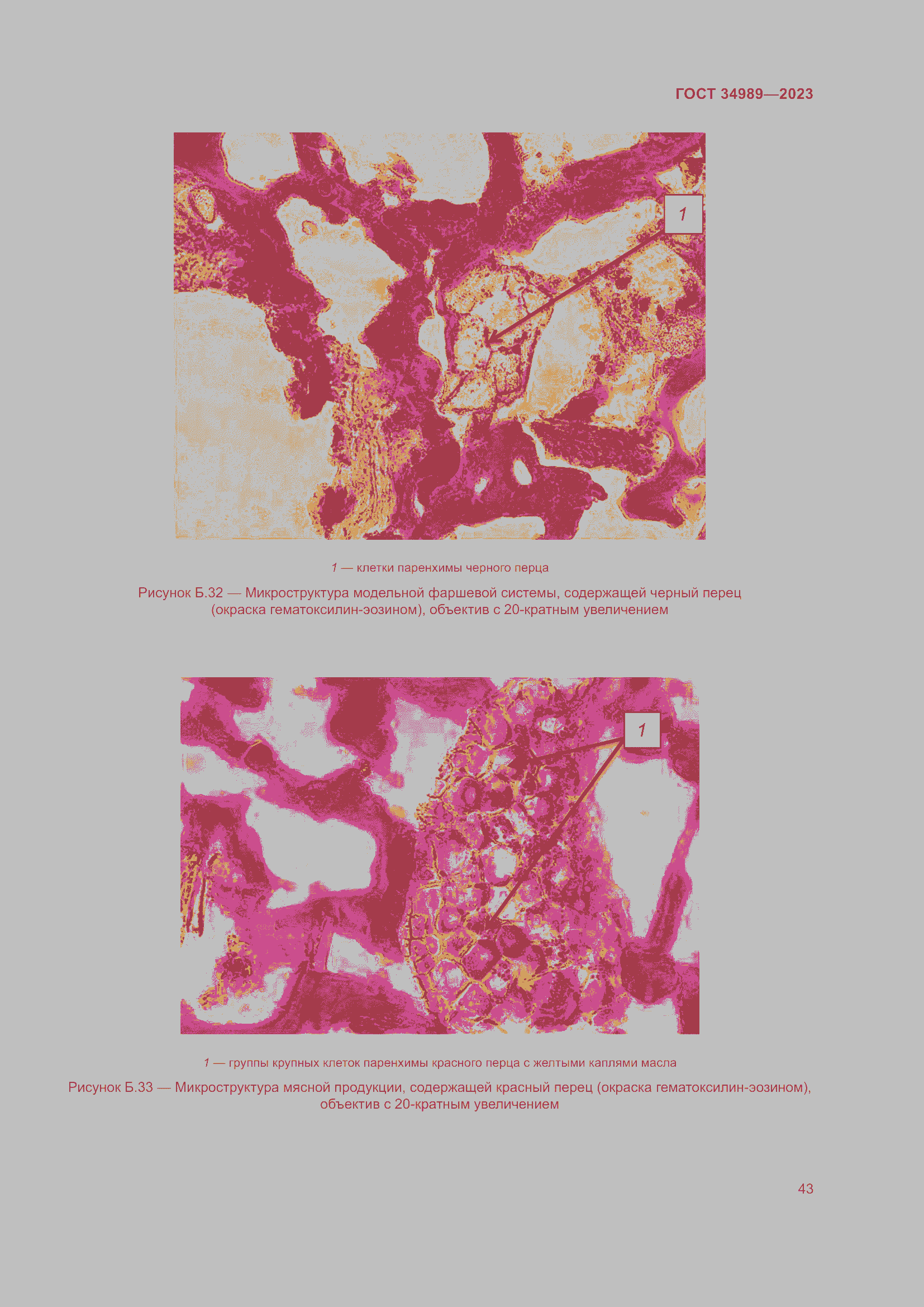 Страница 48 ГОСТ 34989-2023