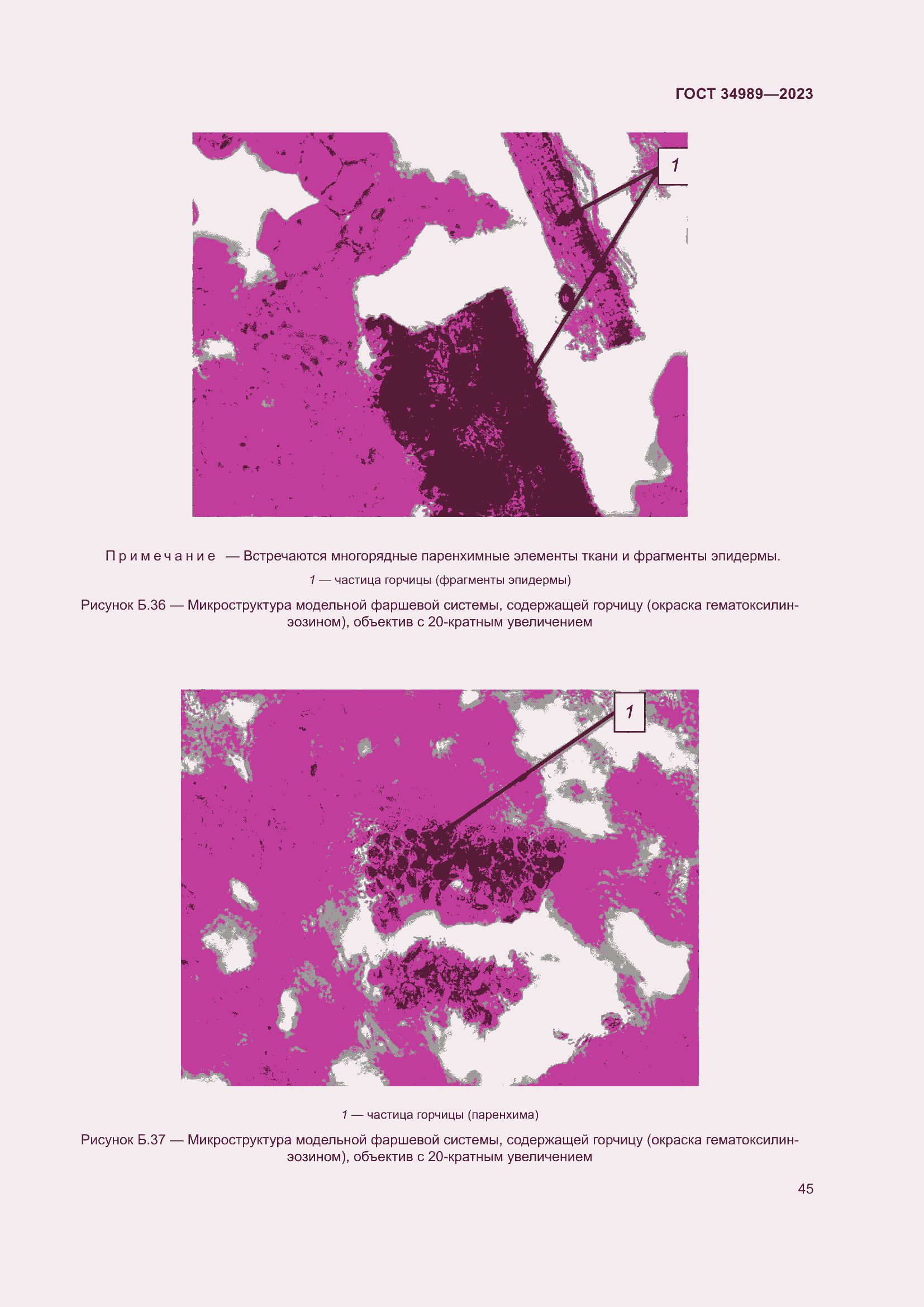 Страница 50 ГОСТ 34989-2023
