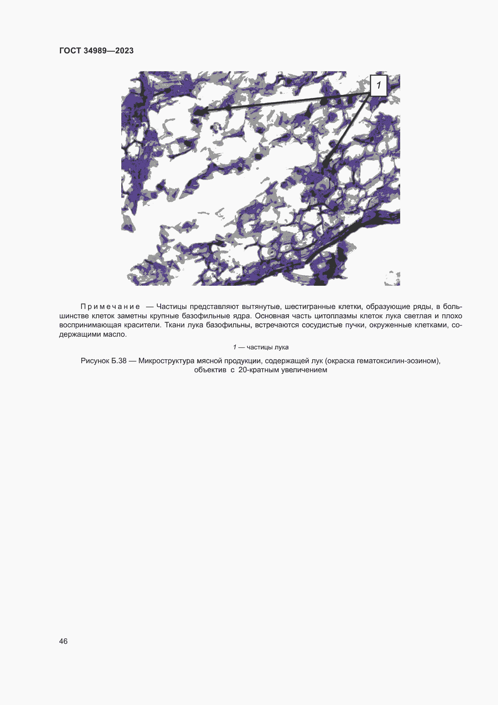 Страница 51 ГОСТ 34989-2023