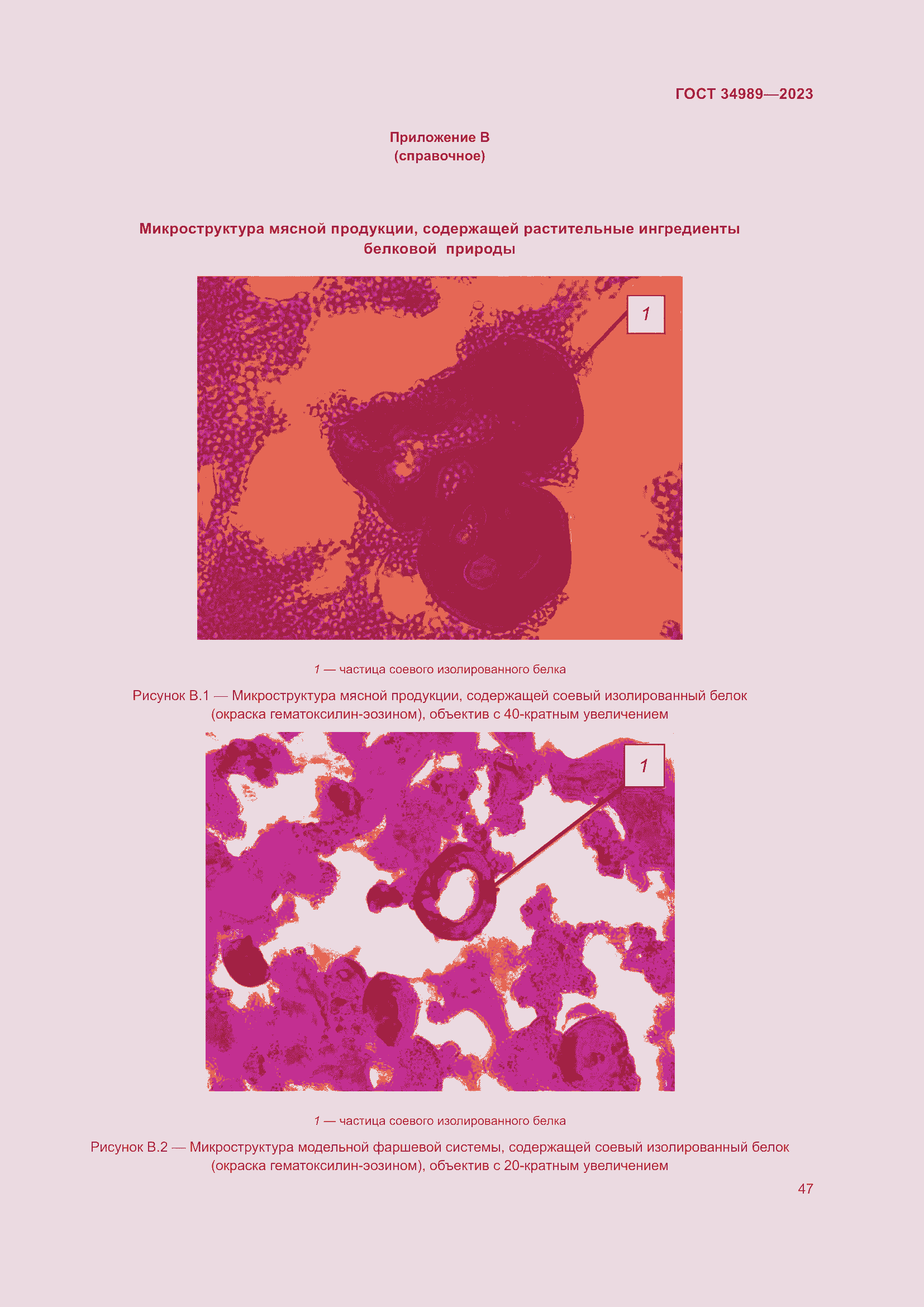 Страница 52 ГОСТ 34989-2023