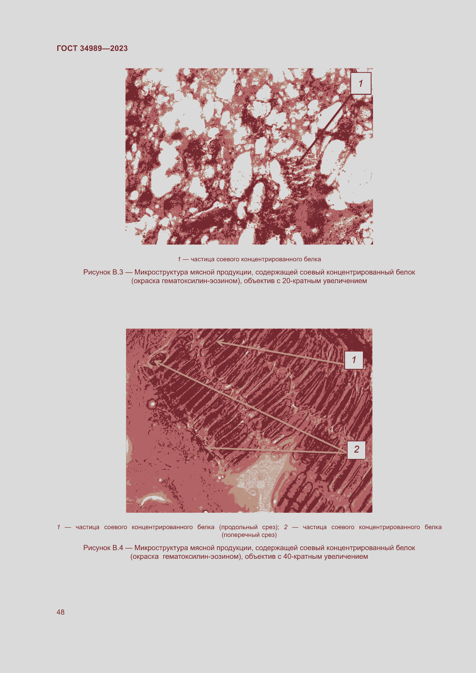 Страница 53 ГОСТ 34989-2023