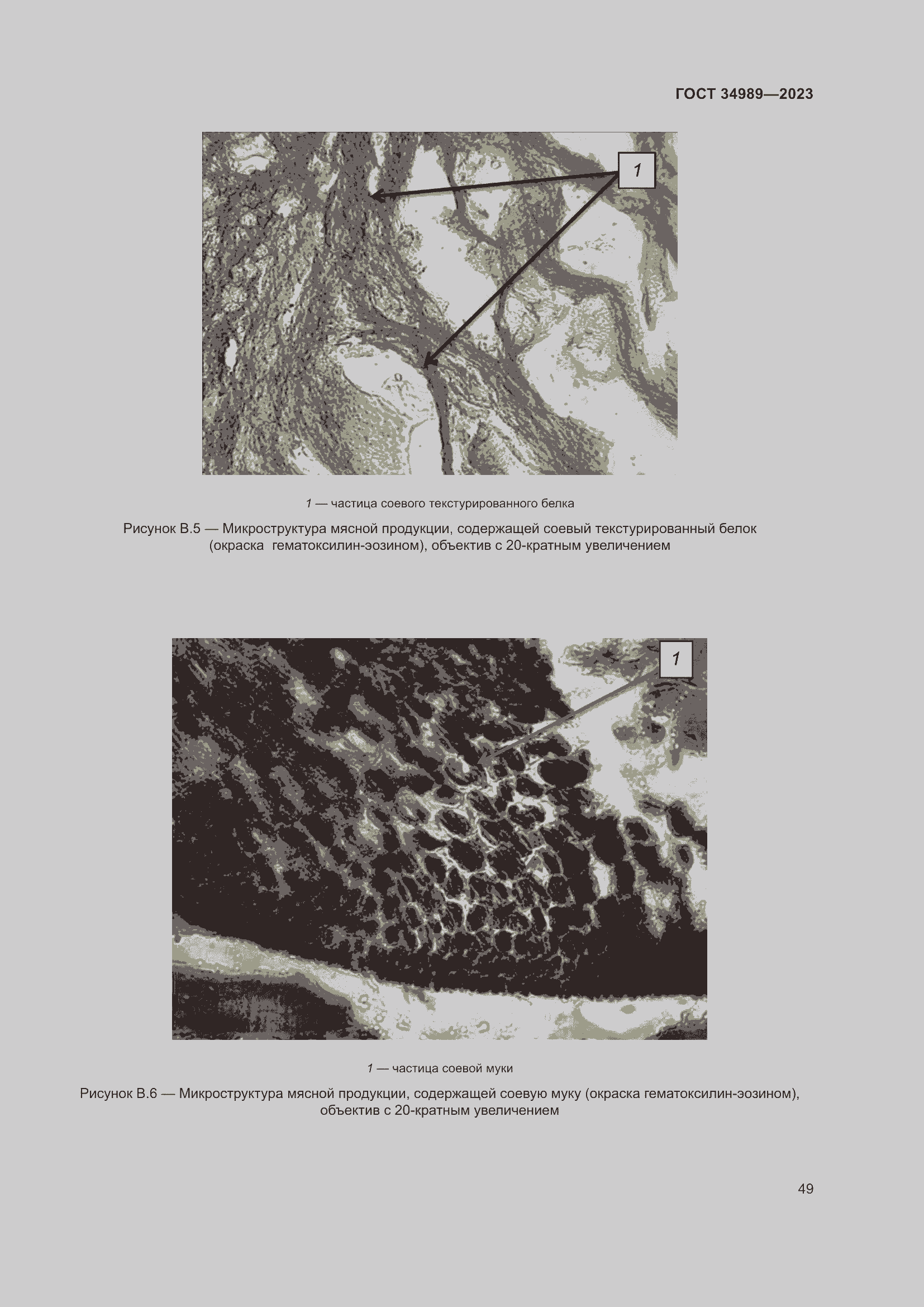 Страница 54 ГОСТ 34989-2023