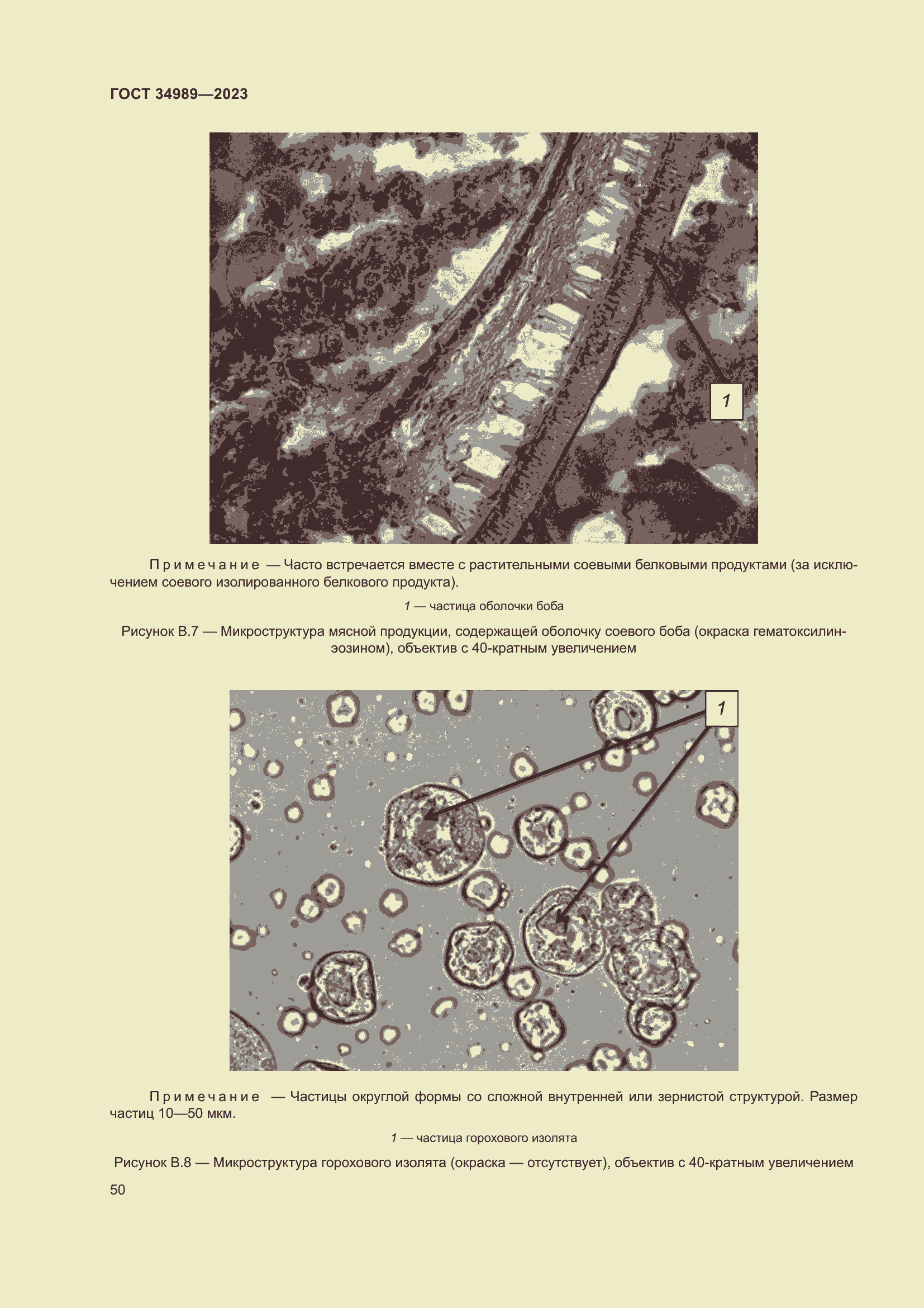 Страница 55 ГОСТ 34989-2023