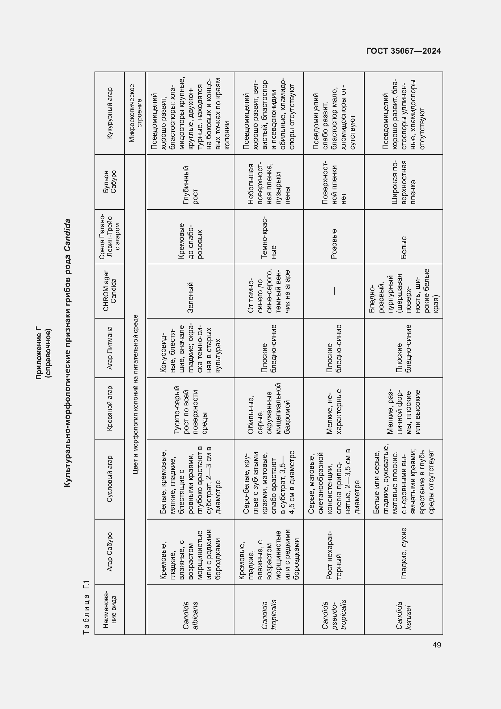 Страница 53 ГОСТ 35067-2024