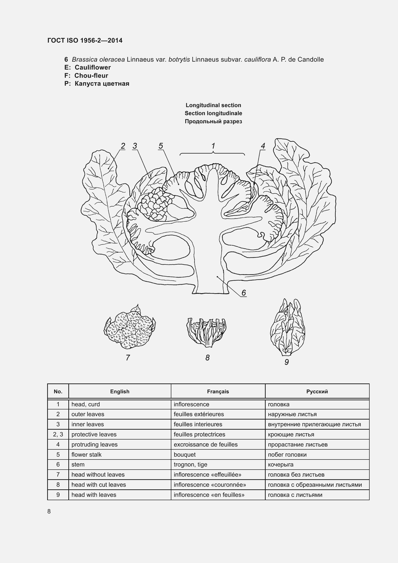 Страница 13 ГОСТ ISO 1956-2-2014