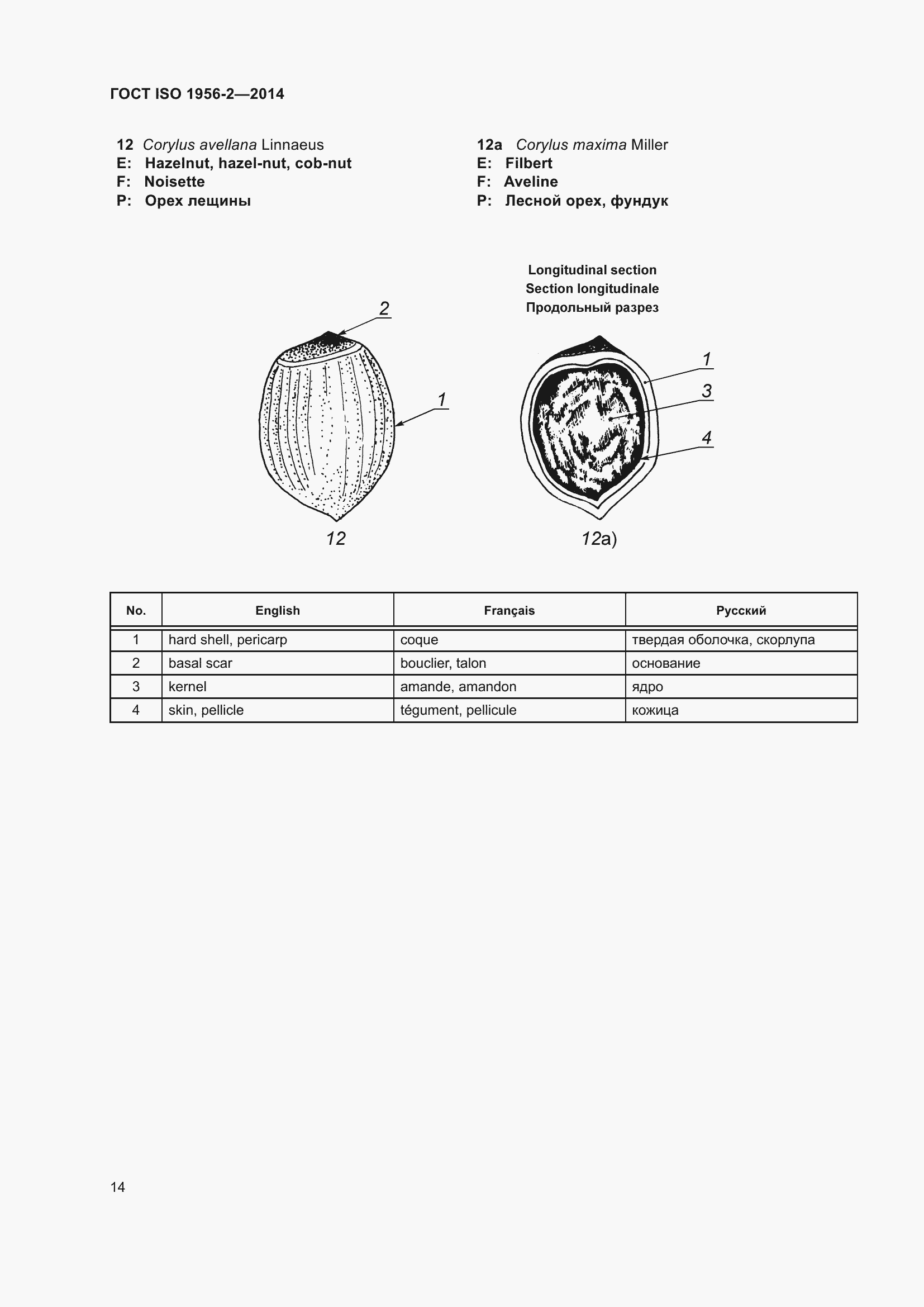 Страница 19 ГОСТ ISO 1956-2-2014