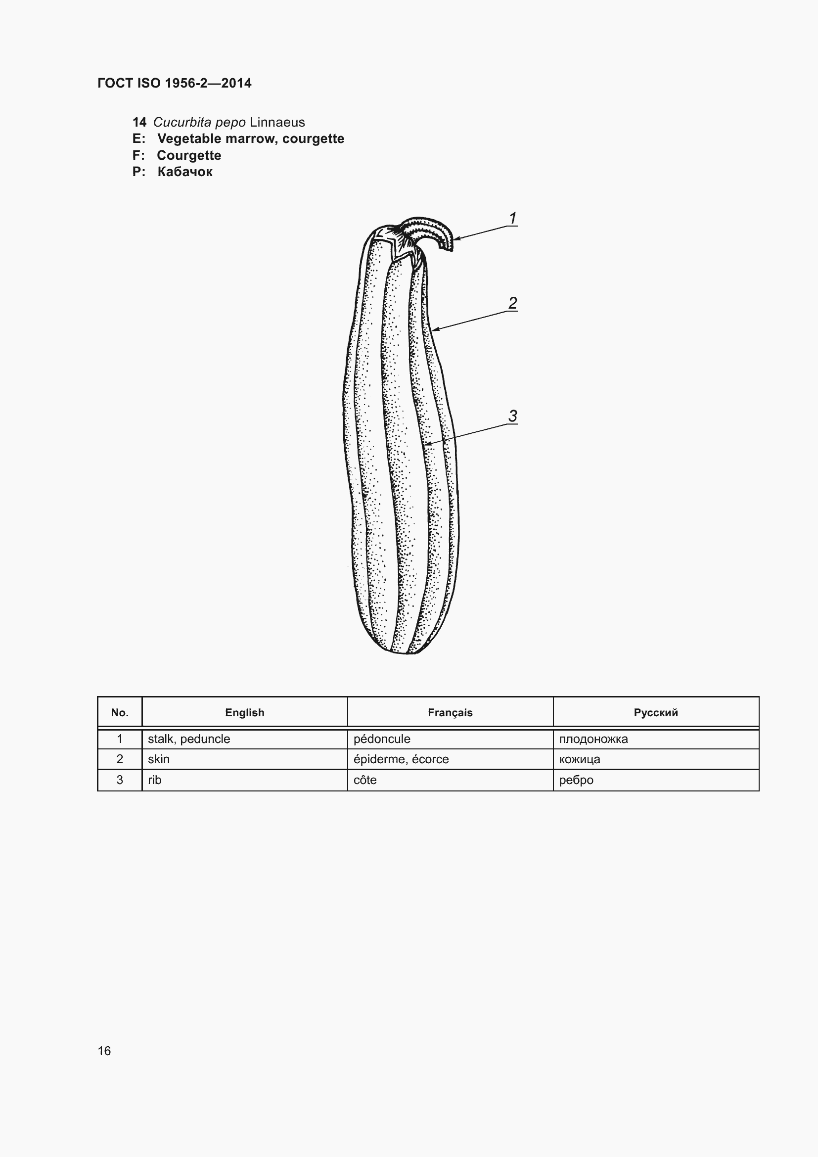 Страница 21 ГОСТ ISO 1956-2-2014