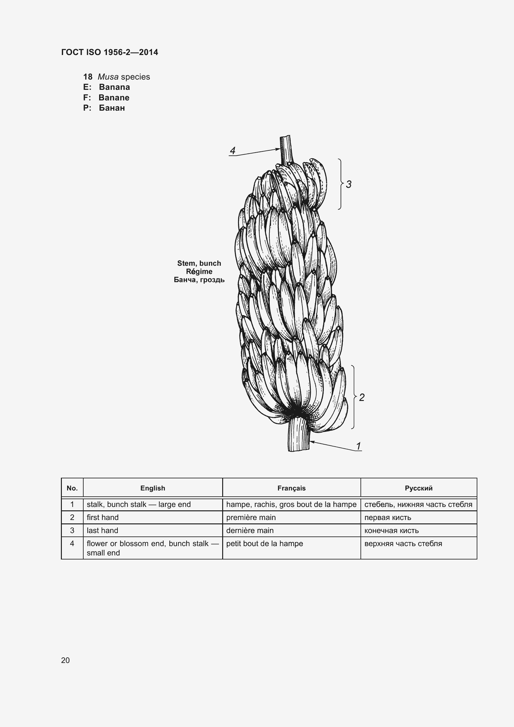 Страница 25 ГОСТ ISO 1956-2-2014