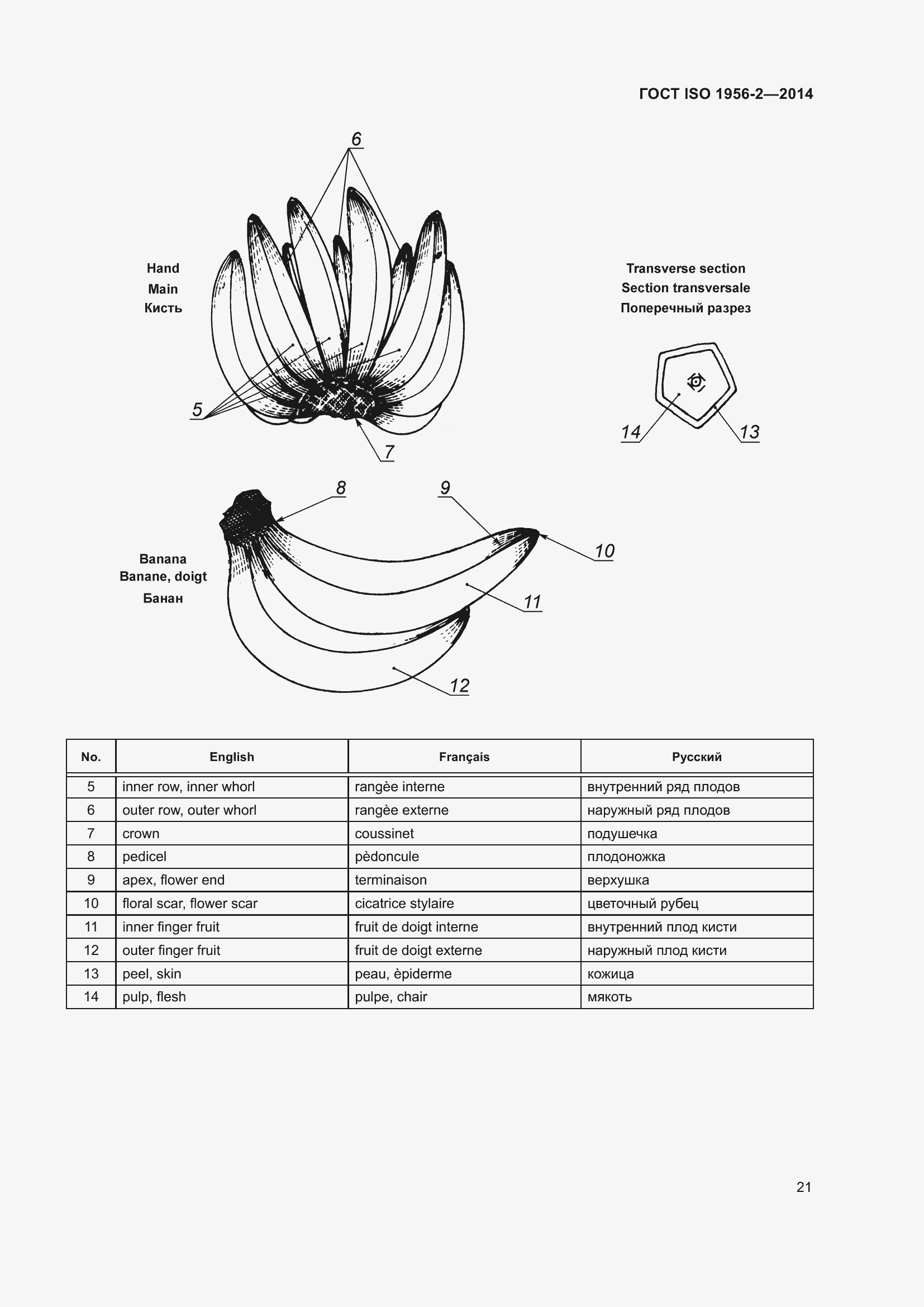 Страница 26 ГОСТ ISO 1956-2-2014