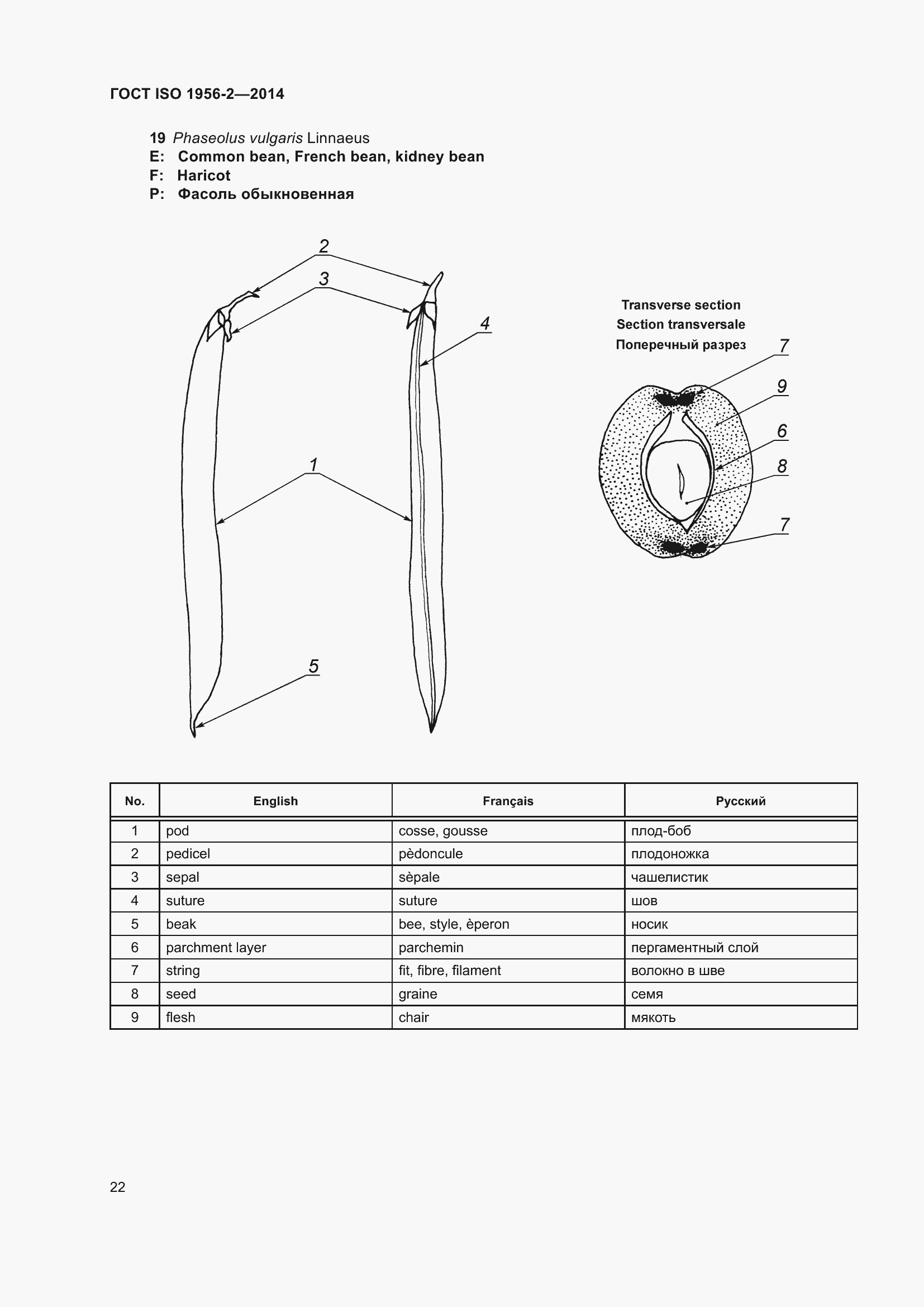 Страница 27 ГОСТ ISO 1956-2-2014