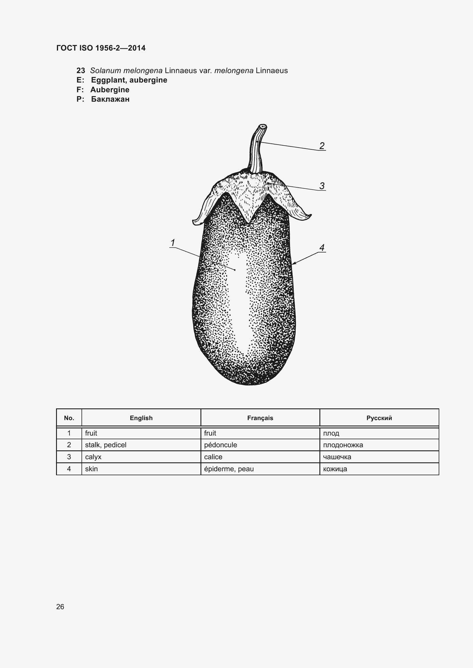 Страница 31 ГОСТ ISO 1956-2-2014