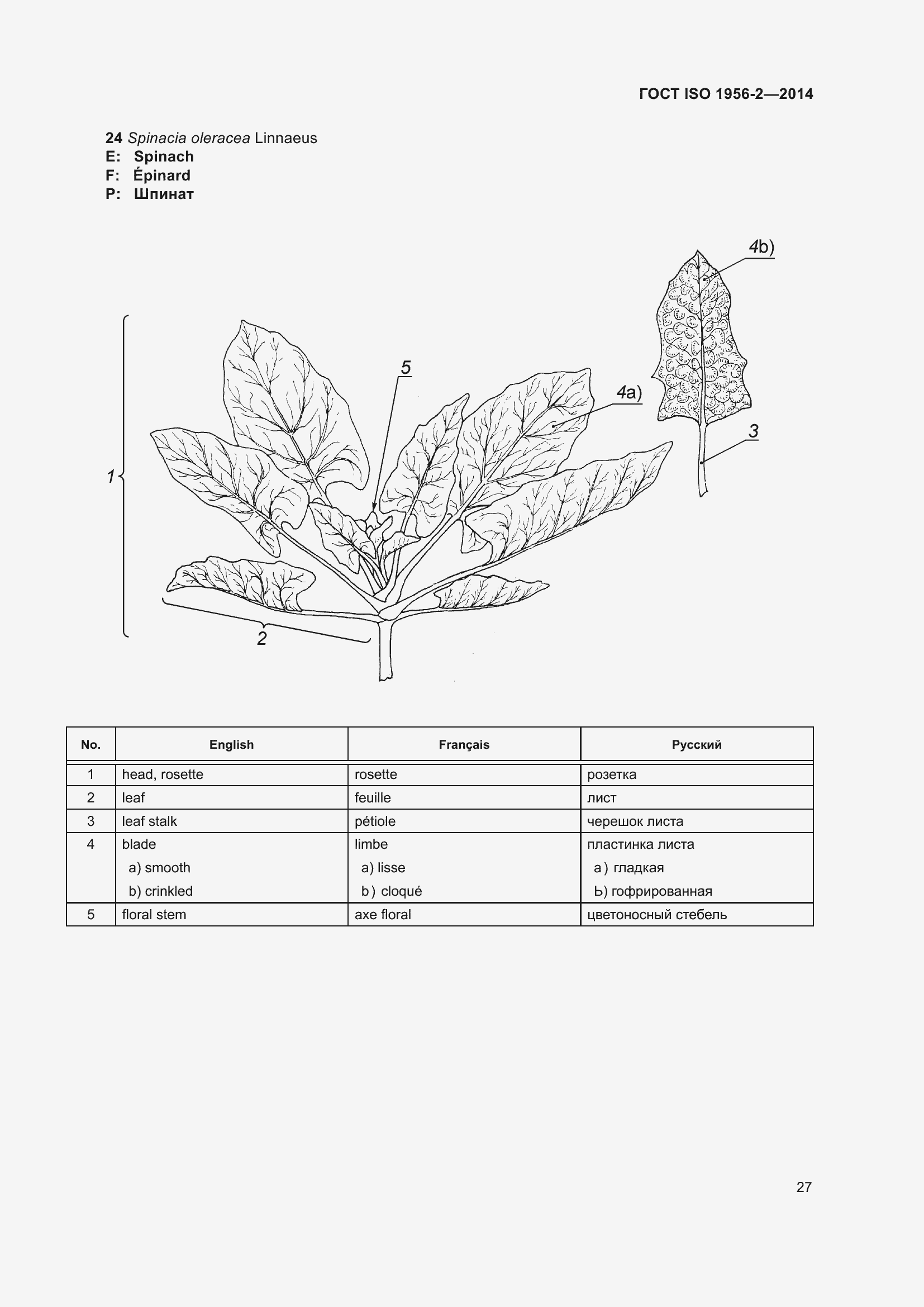 Страница 32 ГОСТ ISO 1956-2-2014