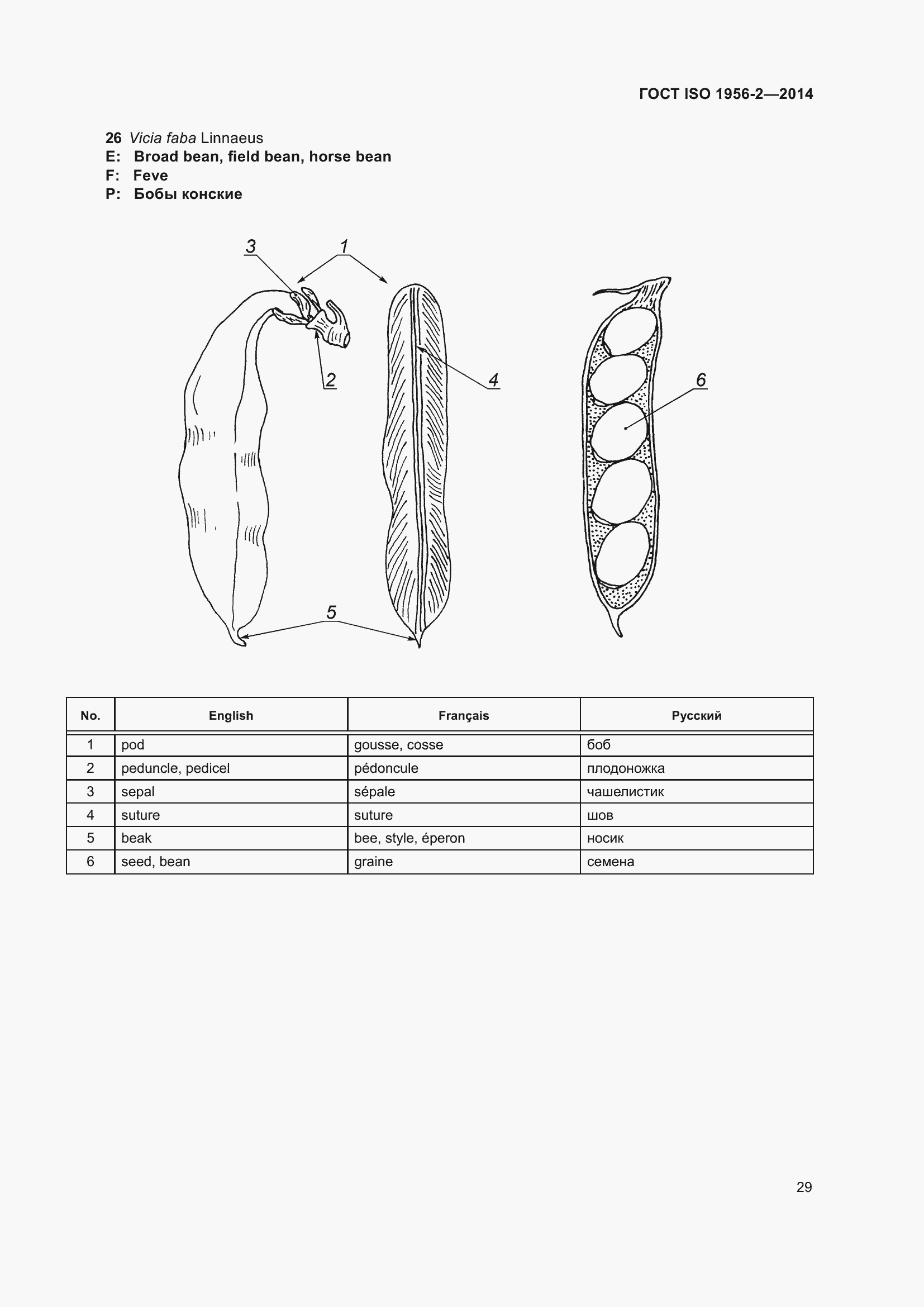 Страница 34 ГОСТ ISO 1956-2-2014