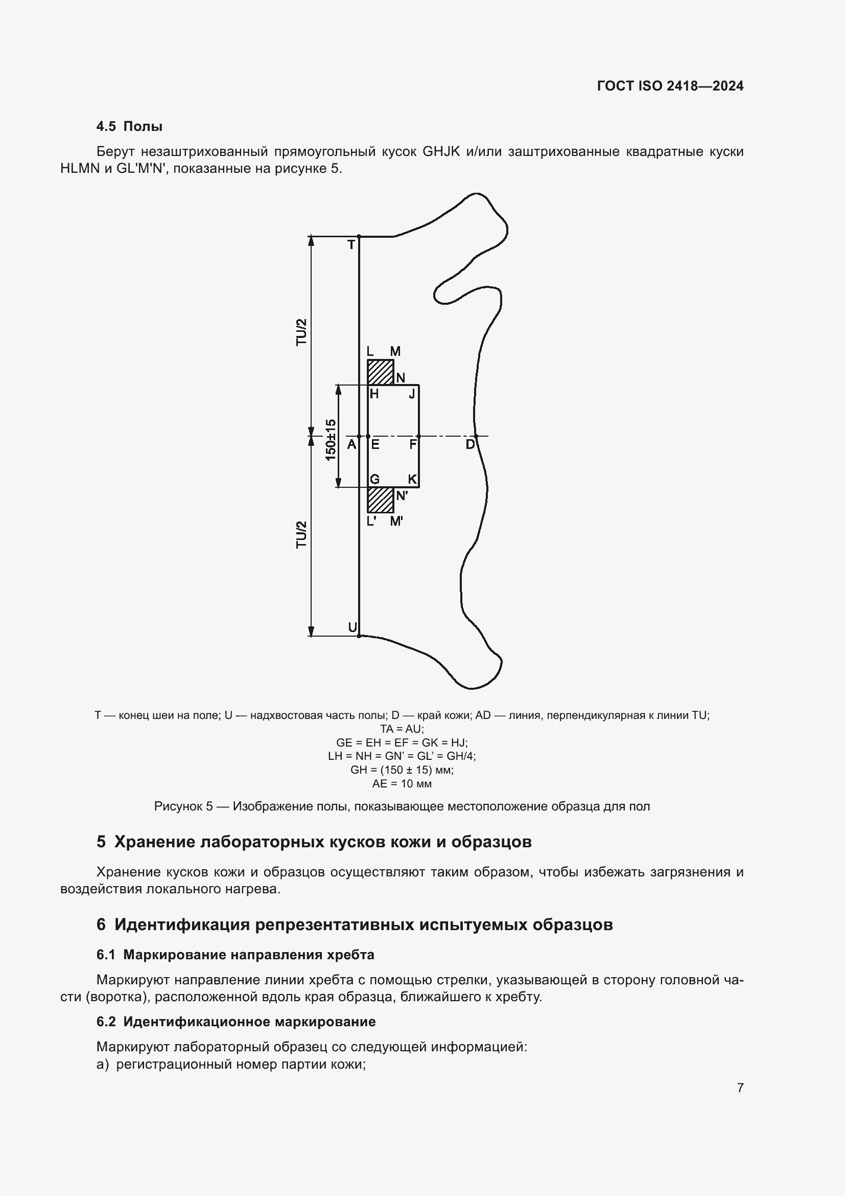 Страница 11 ГОСТ ISO 2418-2024