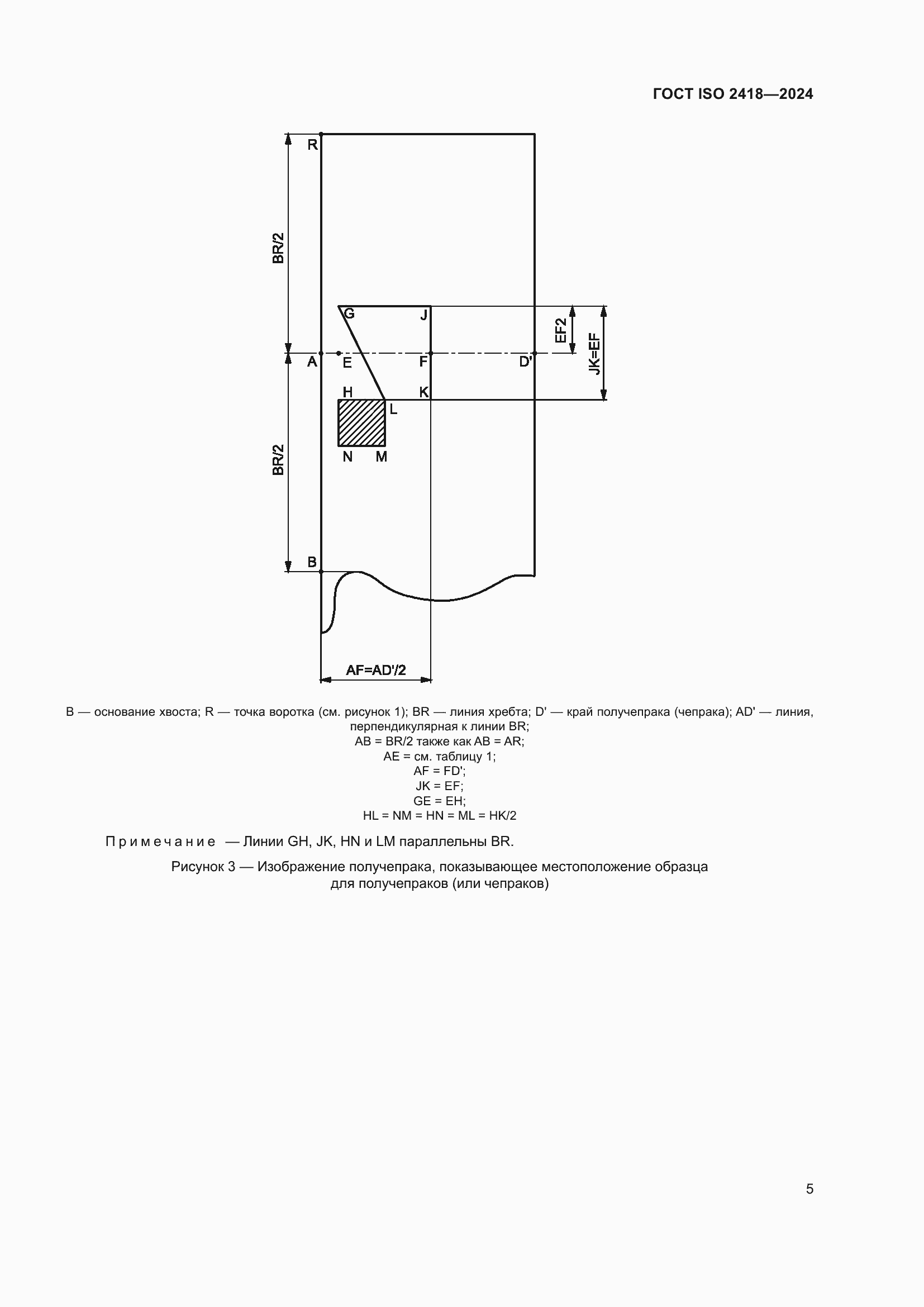 Страница 9 ГОСТ ISO 2418-2024