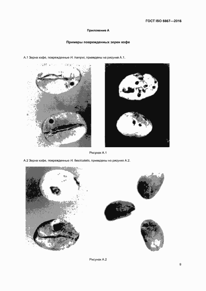 Страница 14 ГОСТ ISO 6667-2016