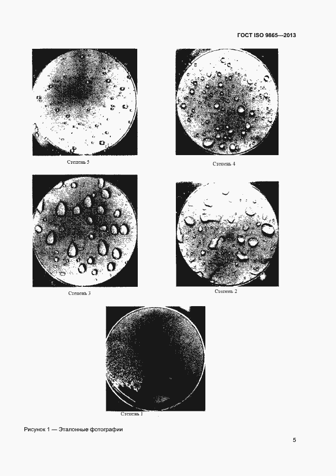 Страница 10 ГОСТ ISO 9865-2014