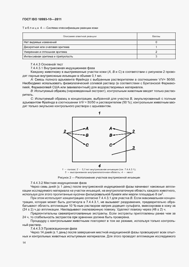 Страница 19 ГОСТ ISO 10993-10-2011