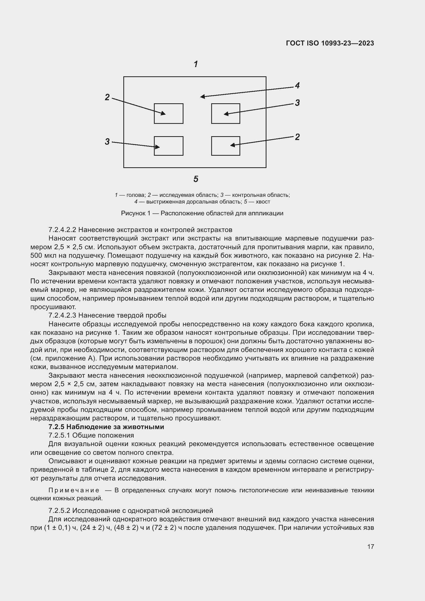 Страница 24 ГОСТ ISO 10993-23-2023