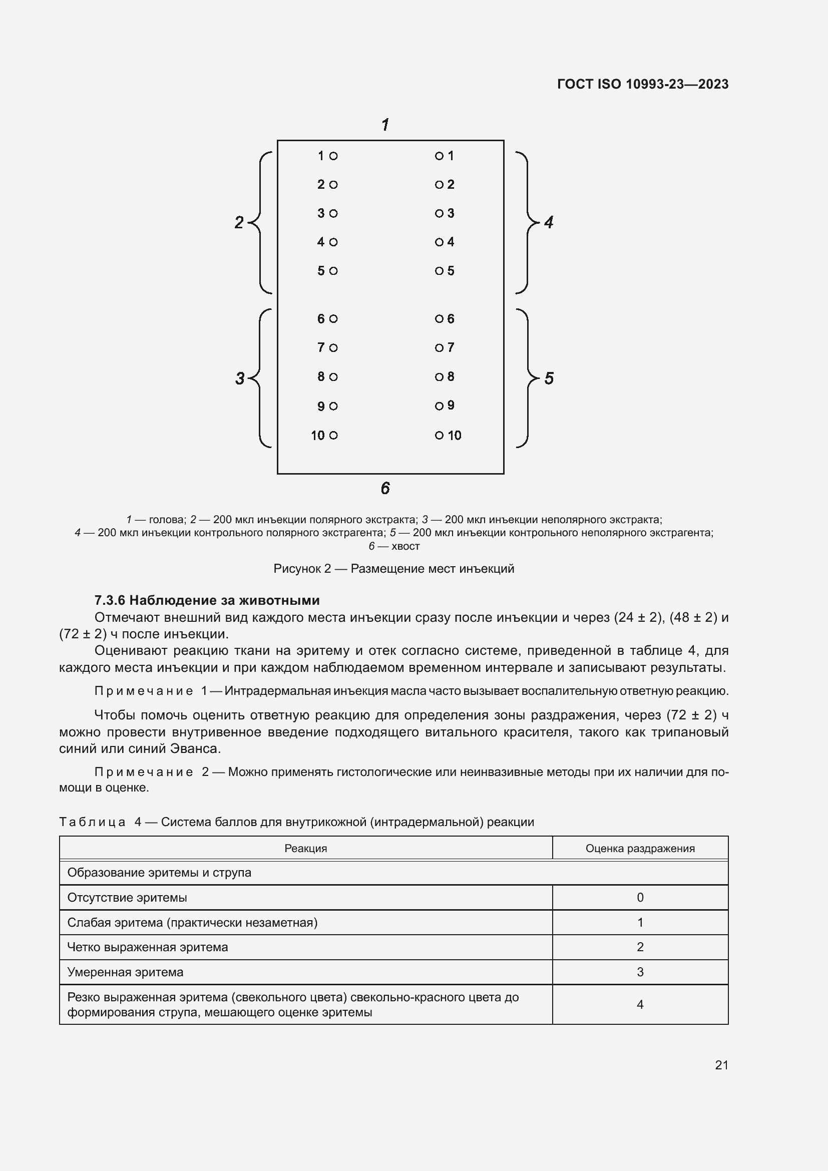 Страница 28 ГОСТ ISO 10993-23-2023
