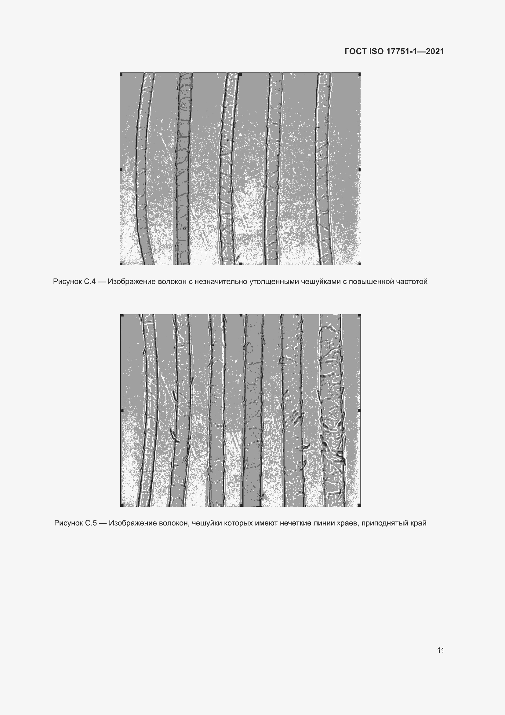 Страница 19 ГОСТ ISO 17751-1-2021