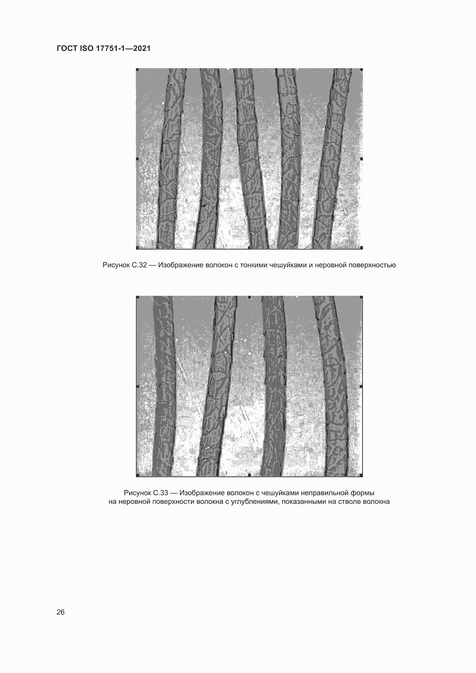 Страница 34 ГОСТ ISO 17751-1-2021
