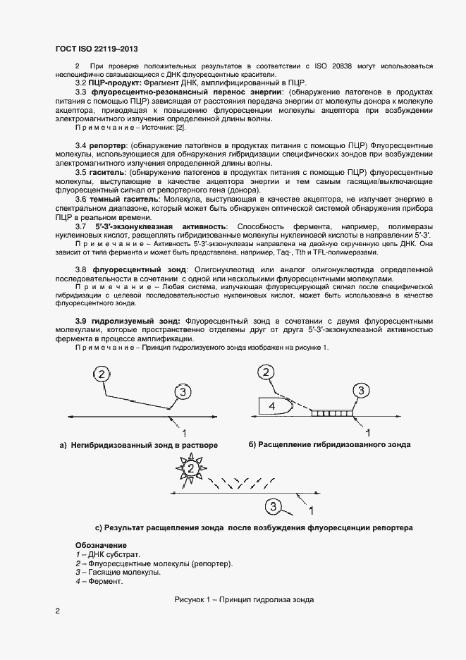 Страница 6 ГОСТ ISO 22119-2013