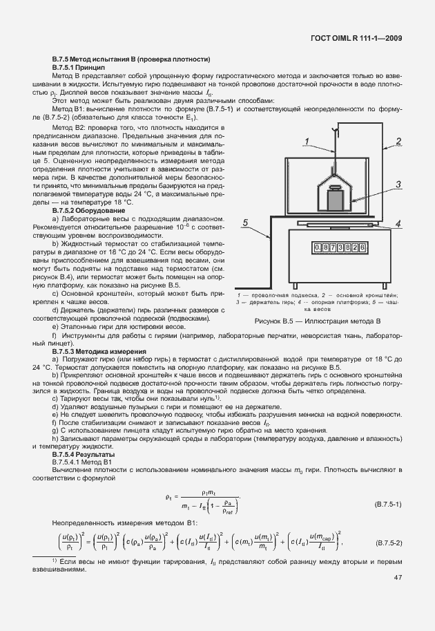 Страница 53 ГОСТ OIML R 111-1-2009