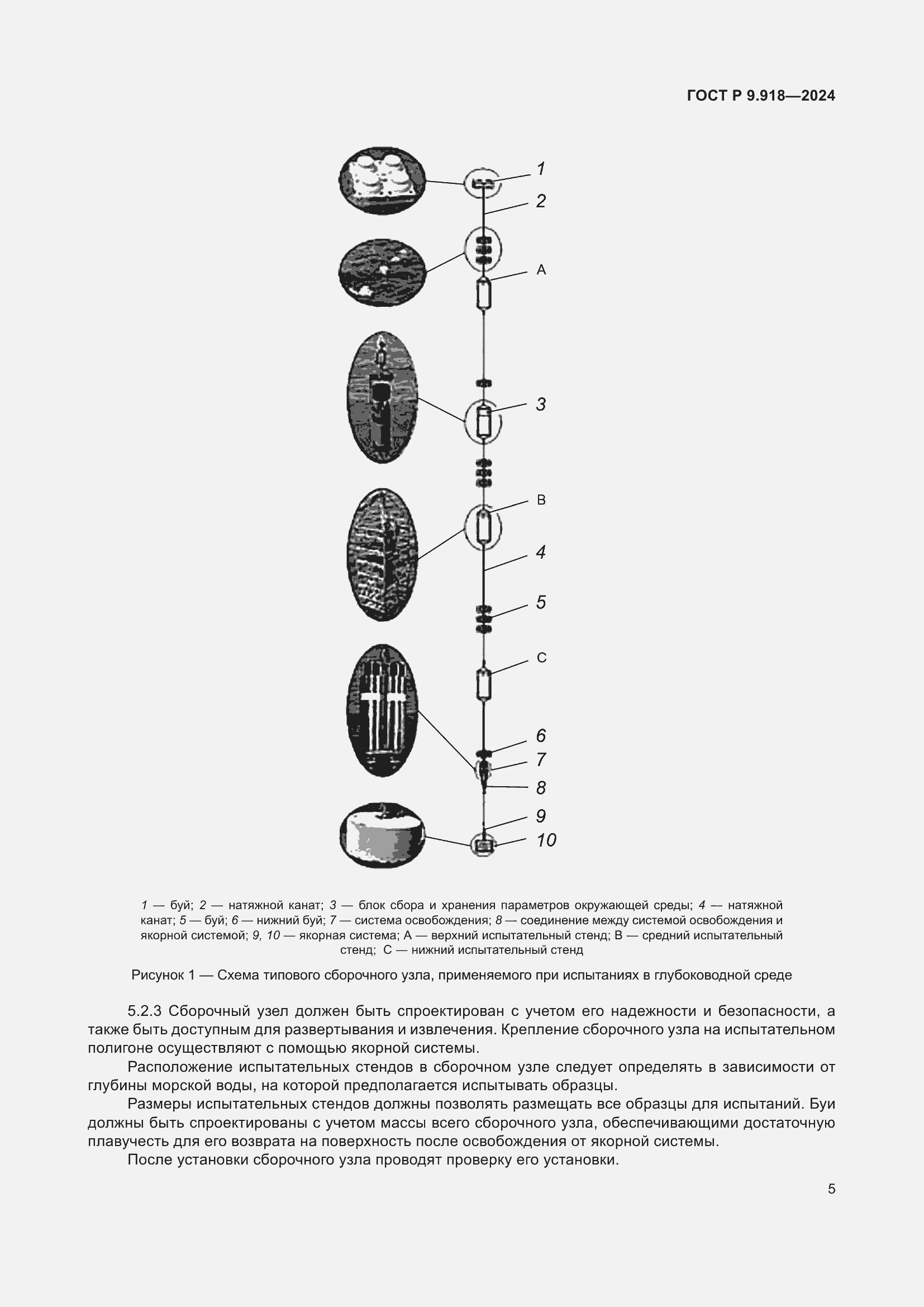 Страница 9 ГОСТ Р 9.918-2024