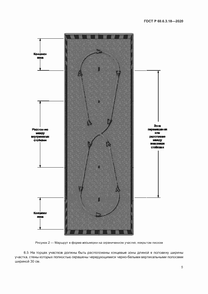 Страница 10 ГОСТ Р 60.6.3.18-2020
