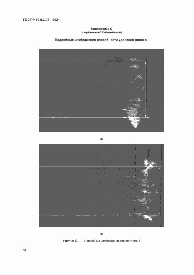 Страница 58 ГОСТ Р 60.6.3.22-2021