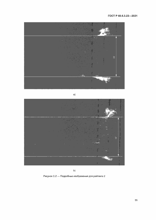 Страница 59 ГОСТ Р 60.6.3.22-2021